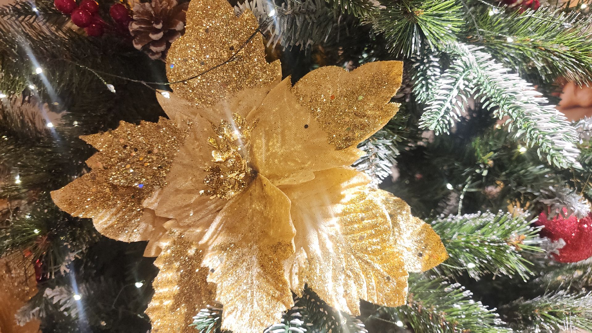 Ершово, Подготовка к новогодним праздникам, Туризм, вертикалка, вертикальное видео,