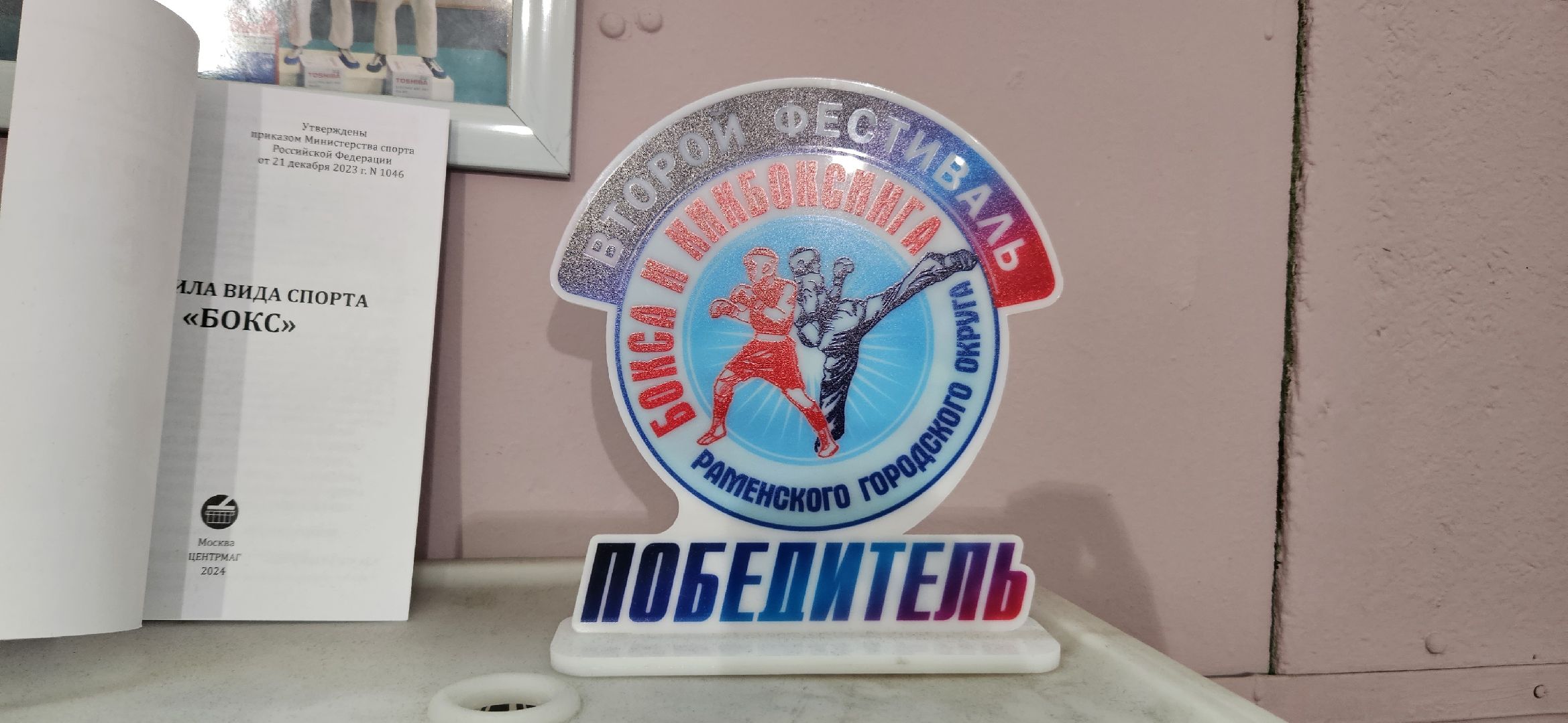 Спорт, кикбоксинг, жуковский,