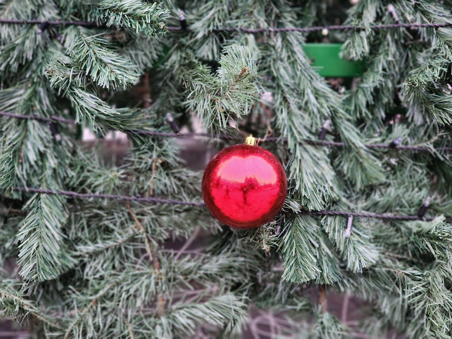 раменское, благоустройство, новогодняя елка у дк сатурн, вертикалки,