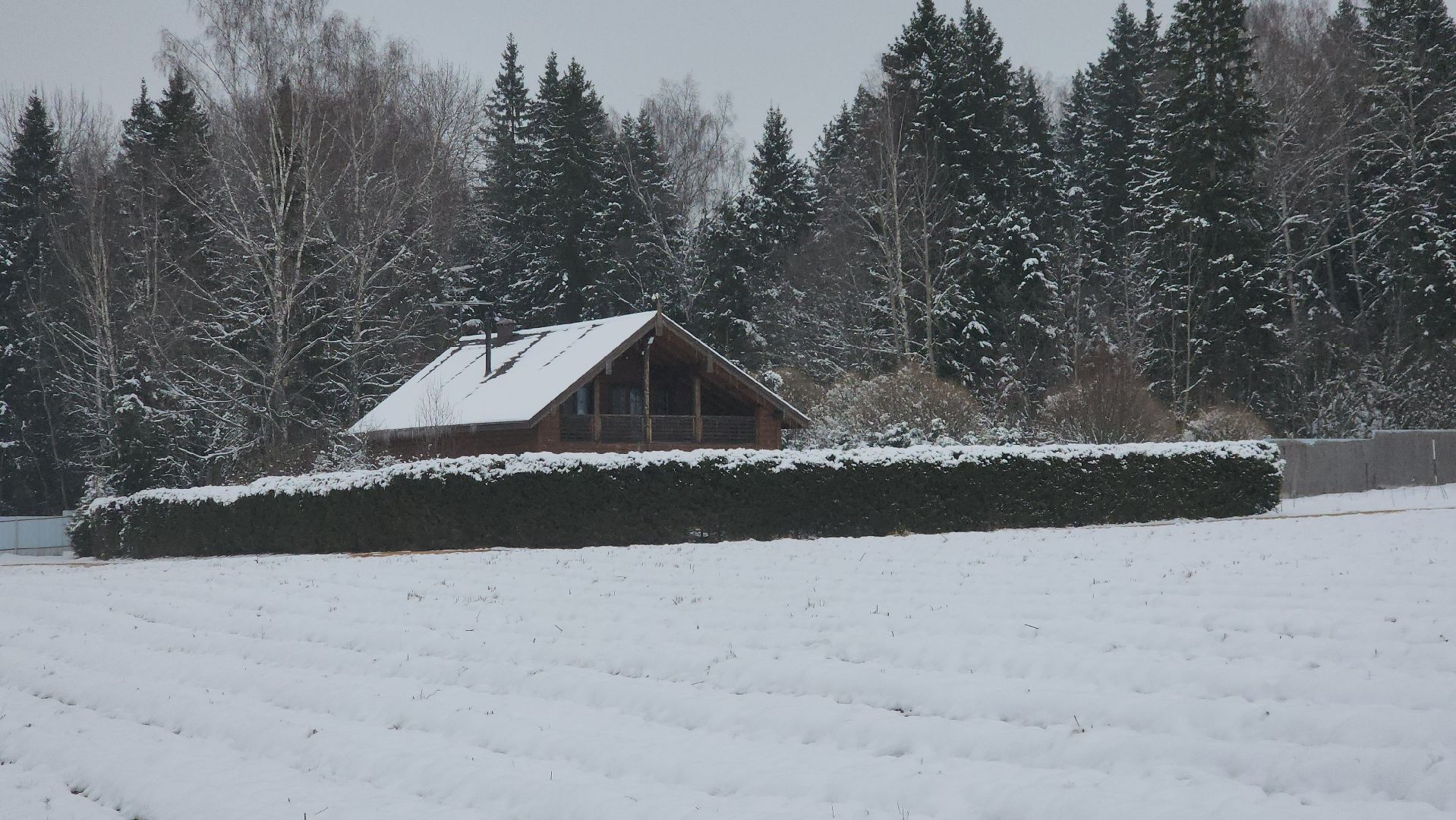 вертикалки, пушкино, нежный бизнес, нежный грант, премия, конкурс, экологический проект, ферма, усадьба, продукты,предприниматель, женщины в профессии,