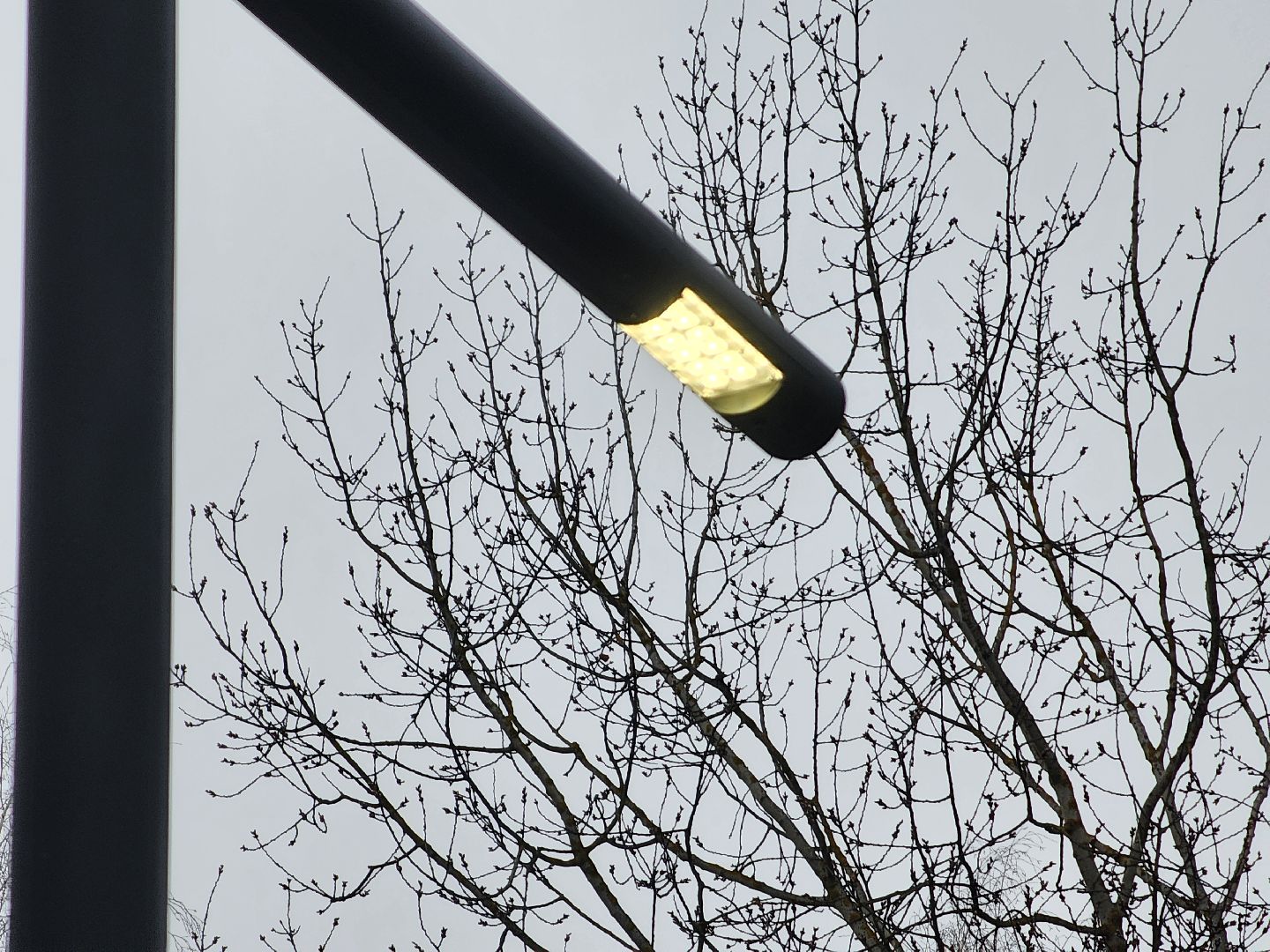 воскресенск, бульвар победы, благоустройство, вертикалки,