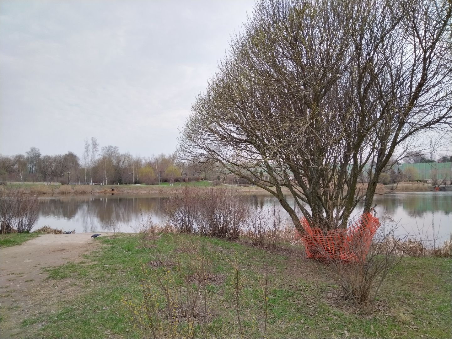 благоустройство, Мытищи, центральный парк, парк мира, бобры