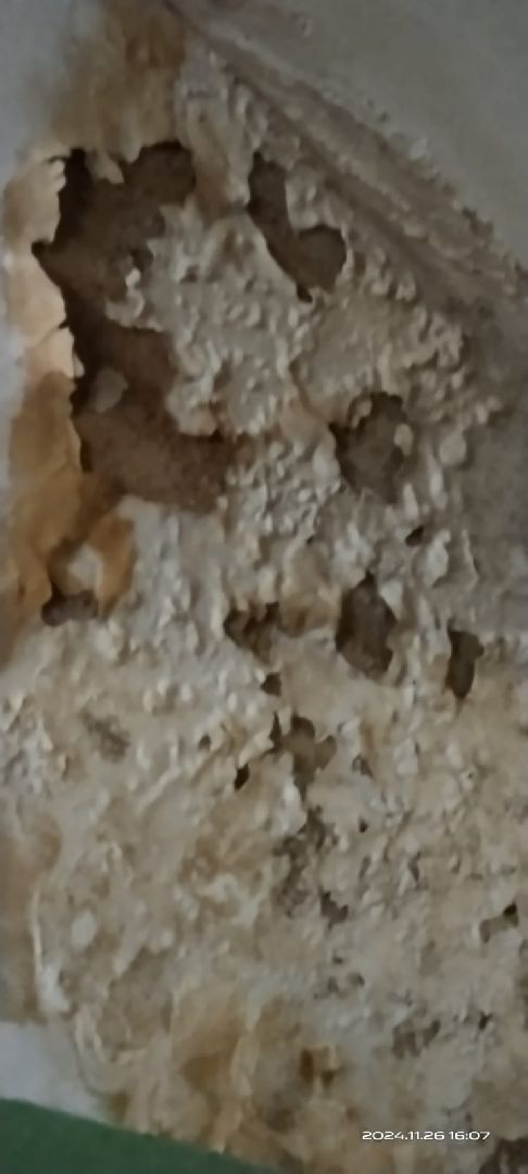 выездная администрация, ЖКХ, обращения жителей, Старая Купавна, Богородский городской округ, вертикалки,