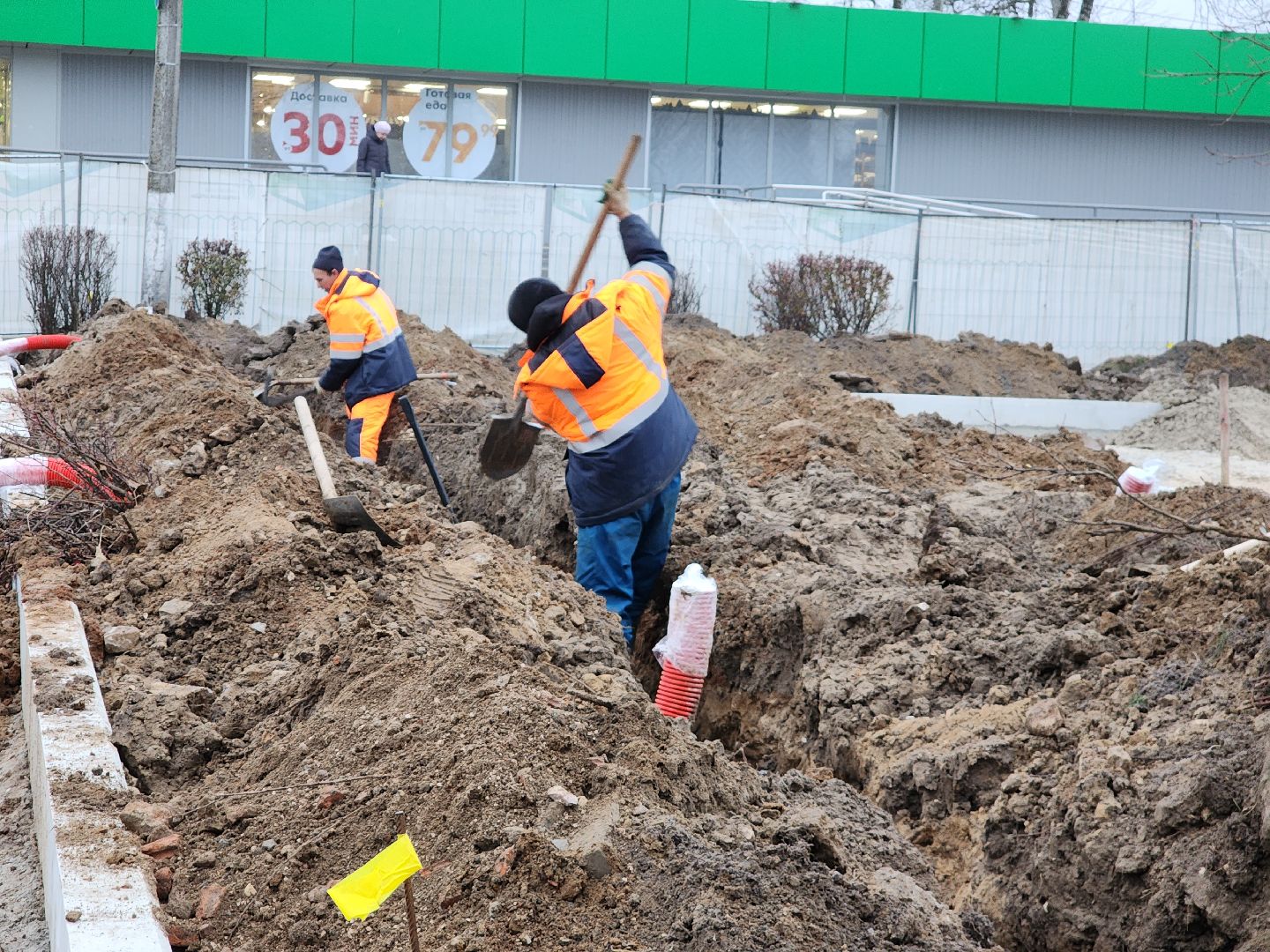 Егорьевск, Подмосковье, Московская область, благоустройство, сквер 60 лет победы,вертикалка, вертикальное видео,вертикалка