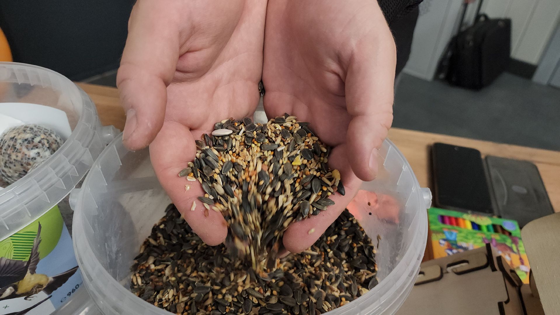 Подкормка птиц, кормушки, Зима, Лобня, вертикалки,