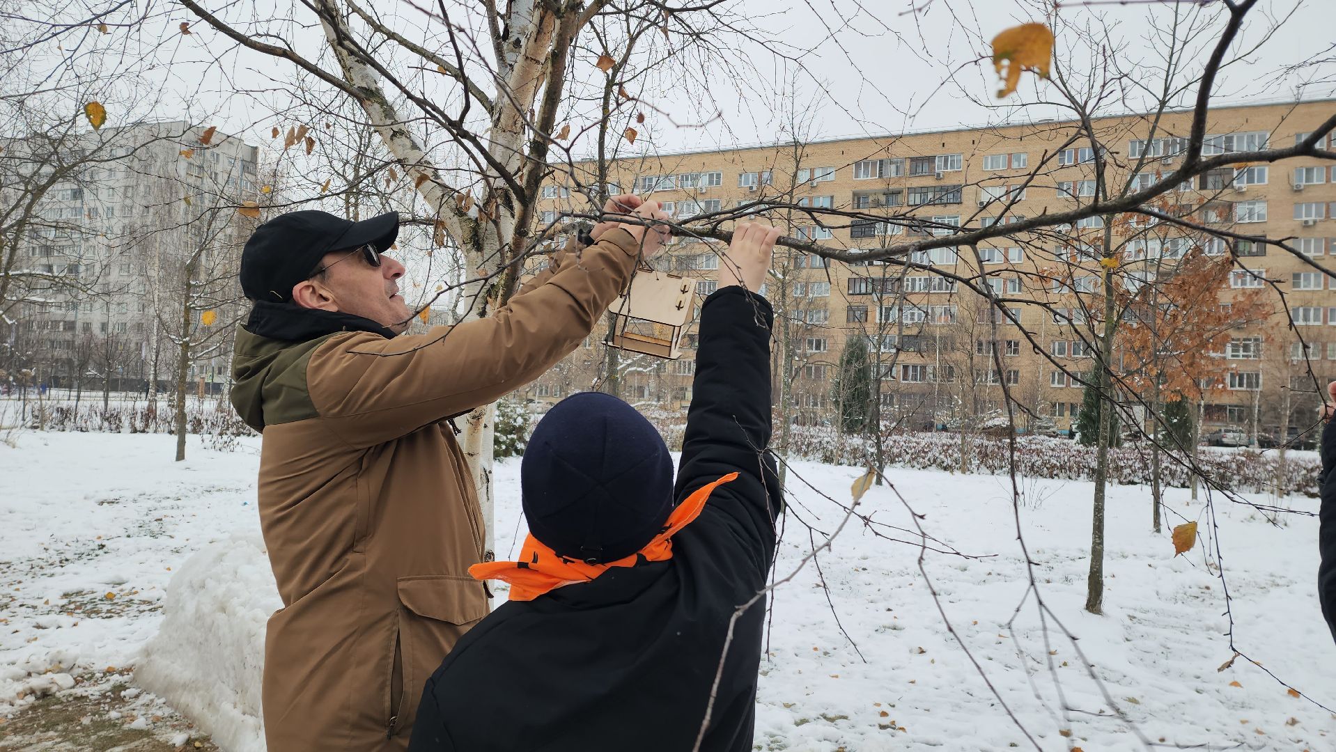 Подкормка птиц, кормушки, Зима, Лобня, вертикалки,