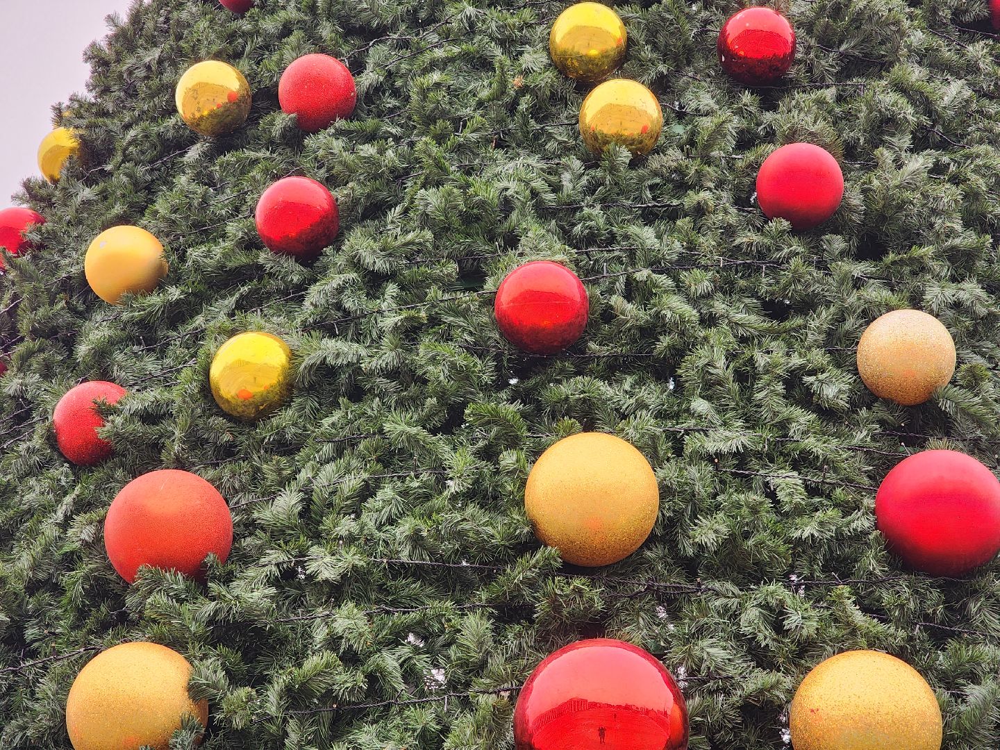 вертикалки, королёв,