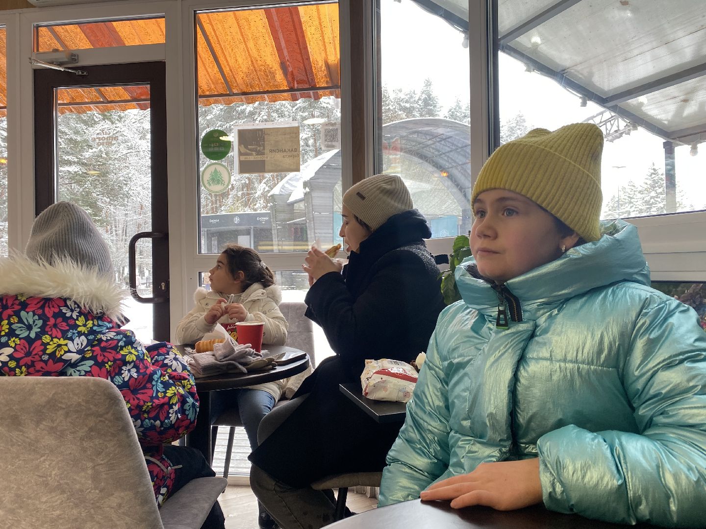 зима в парках, зима в подмосковье, Домодедово, Парк Елочки, Подмосковье, выбор жителей, Зимний сезон,