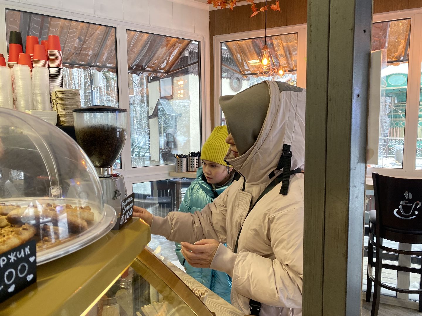 зима в парках, зима в подмосковье, Домодедово, Парк Елочки, Подмосковье, выбор жителей, Зимний сезон,