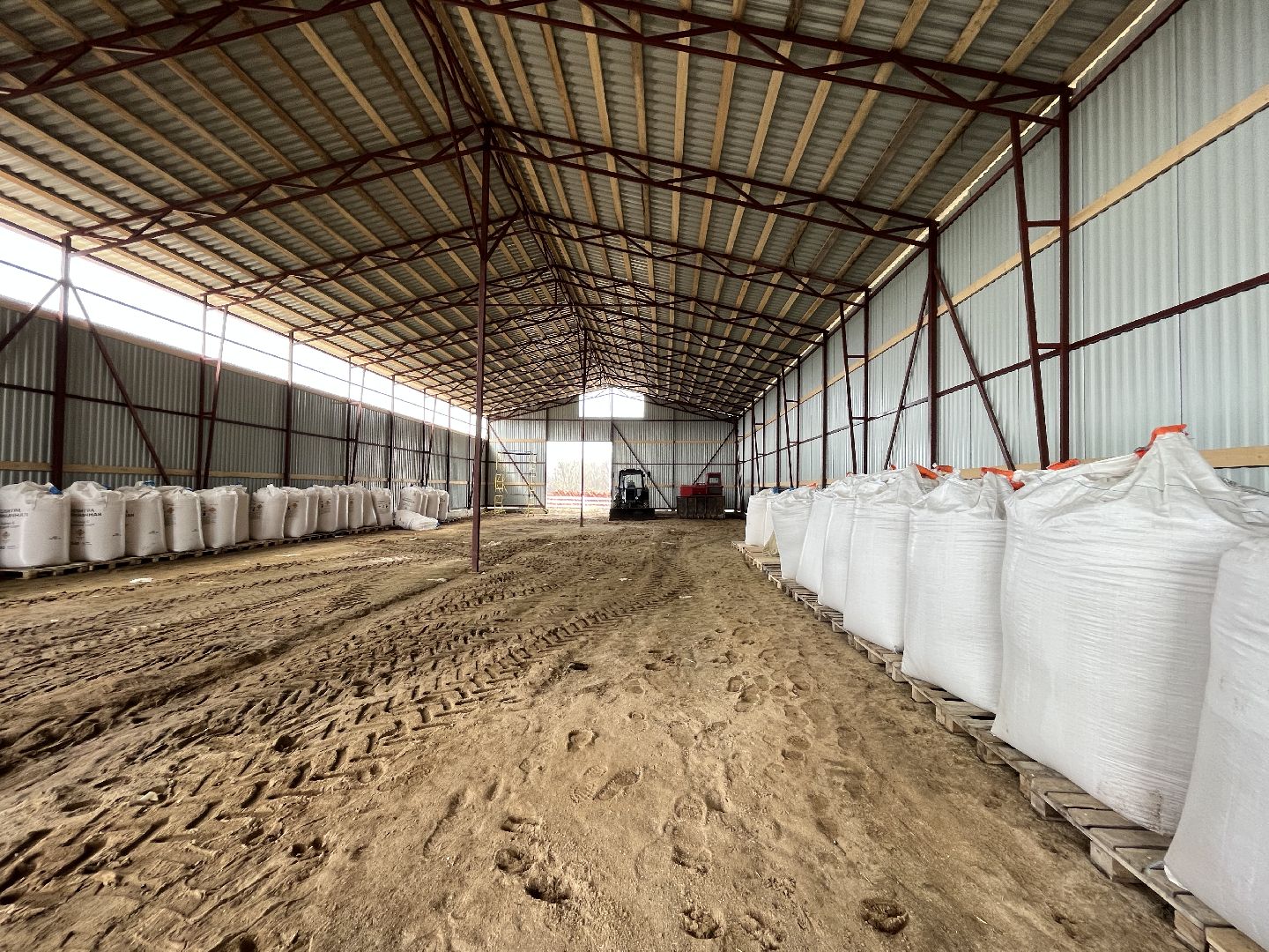 Шаховская, ферма, коровы