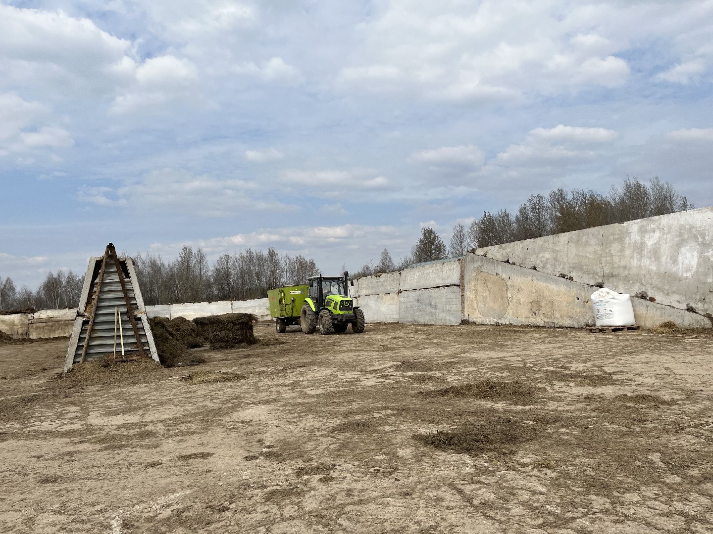 Шаховская, ферма, коровы