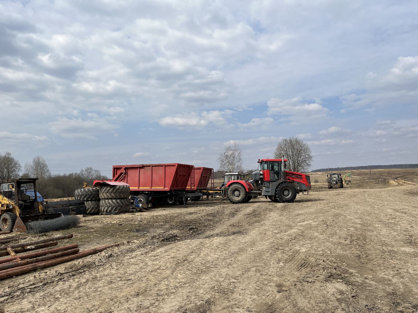 Шаховская, ферма, коровы