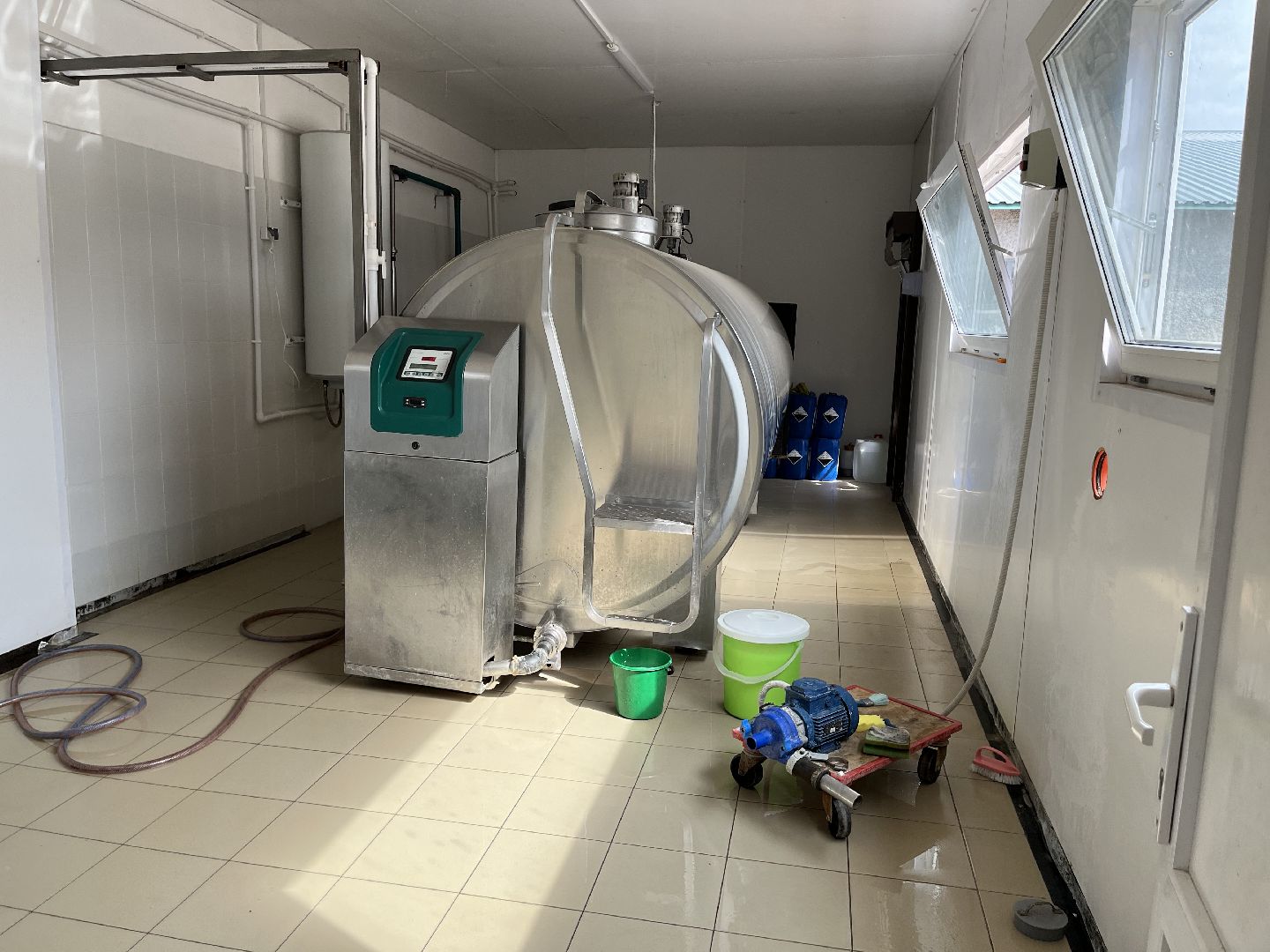 Шаховская, ферма, коровы