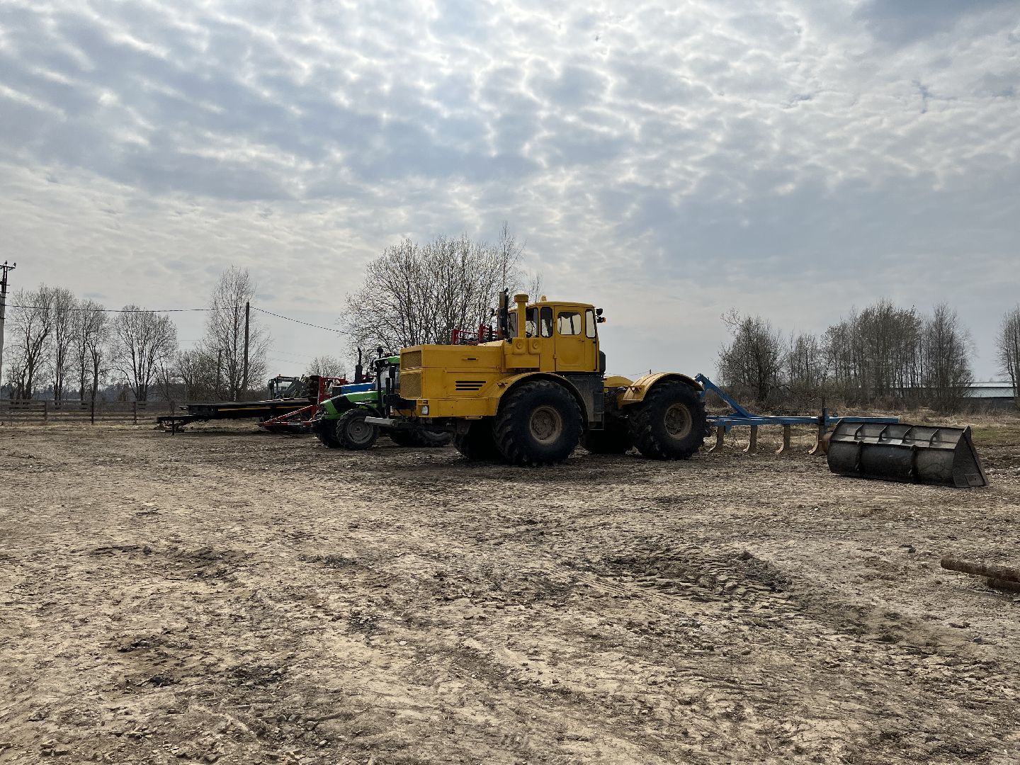 Шаховская, ферма, коровы