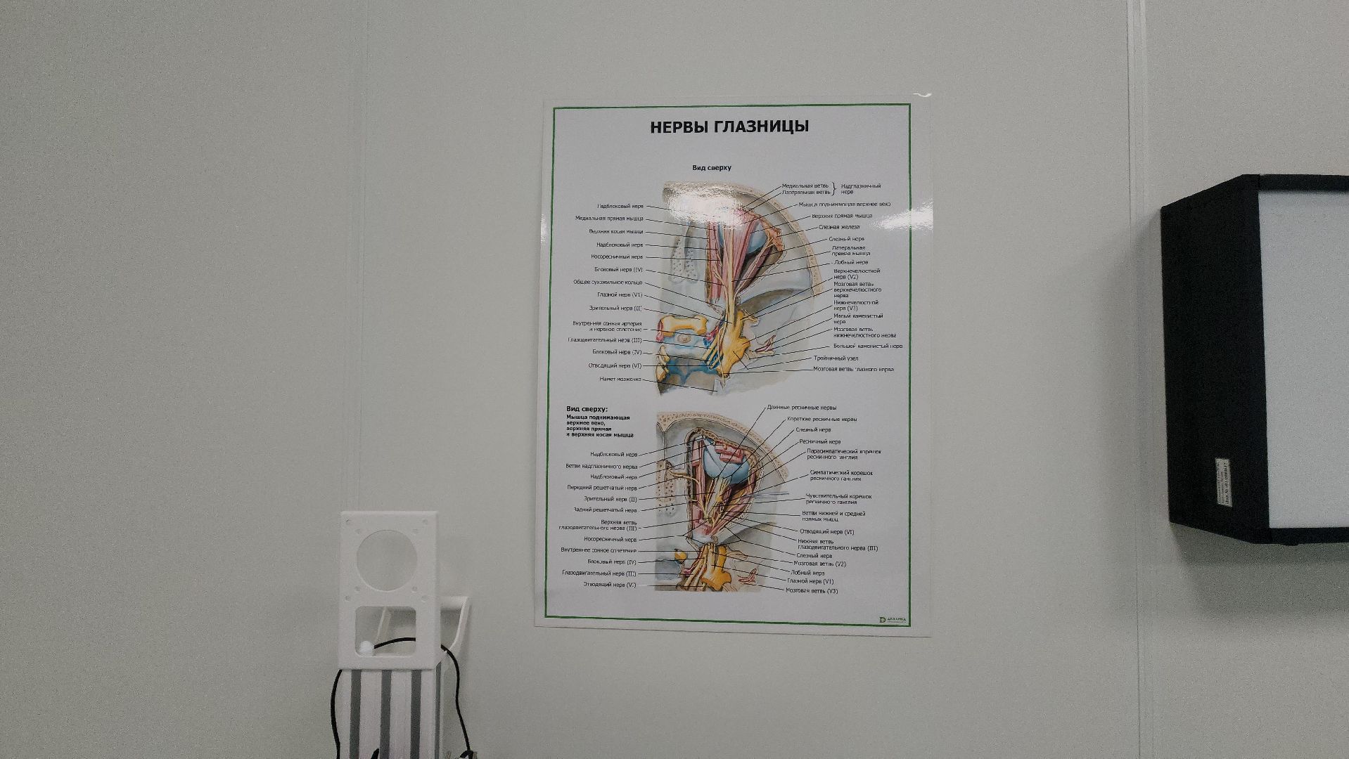 красногорск, дкц имени рошаля, офтальмологическое отделение, медицина,