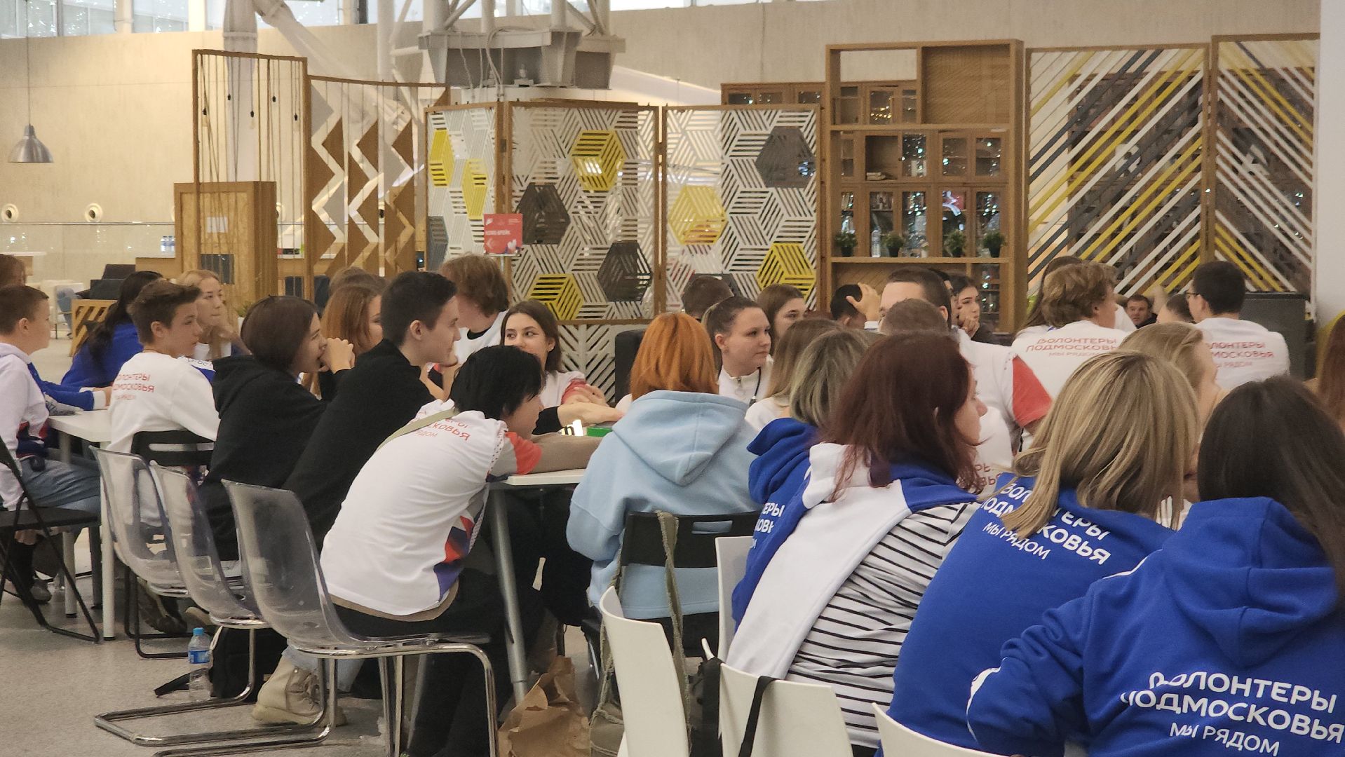 котельники, волонтеры, игра, квиз, cамый умный,