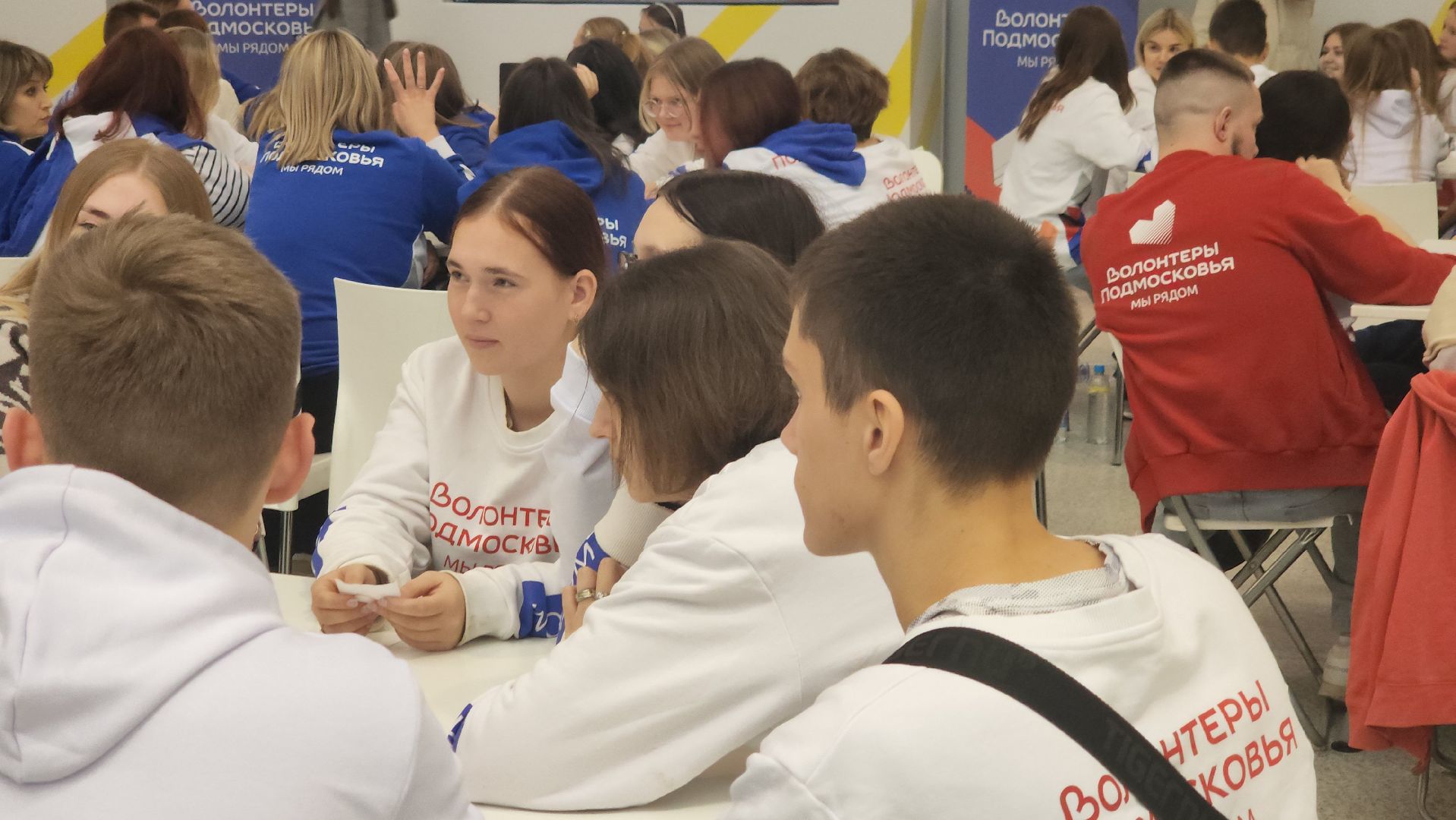 котельники, волонтеры, игра, квиз, cамый умный,