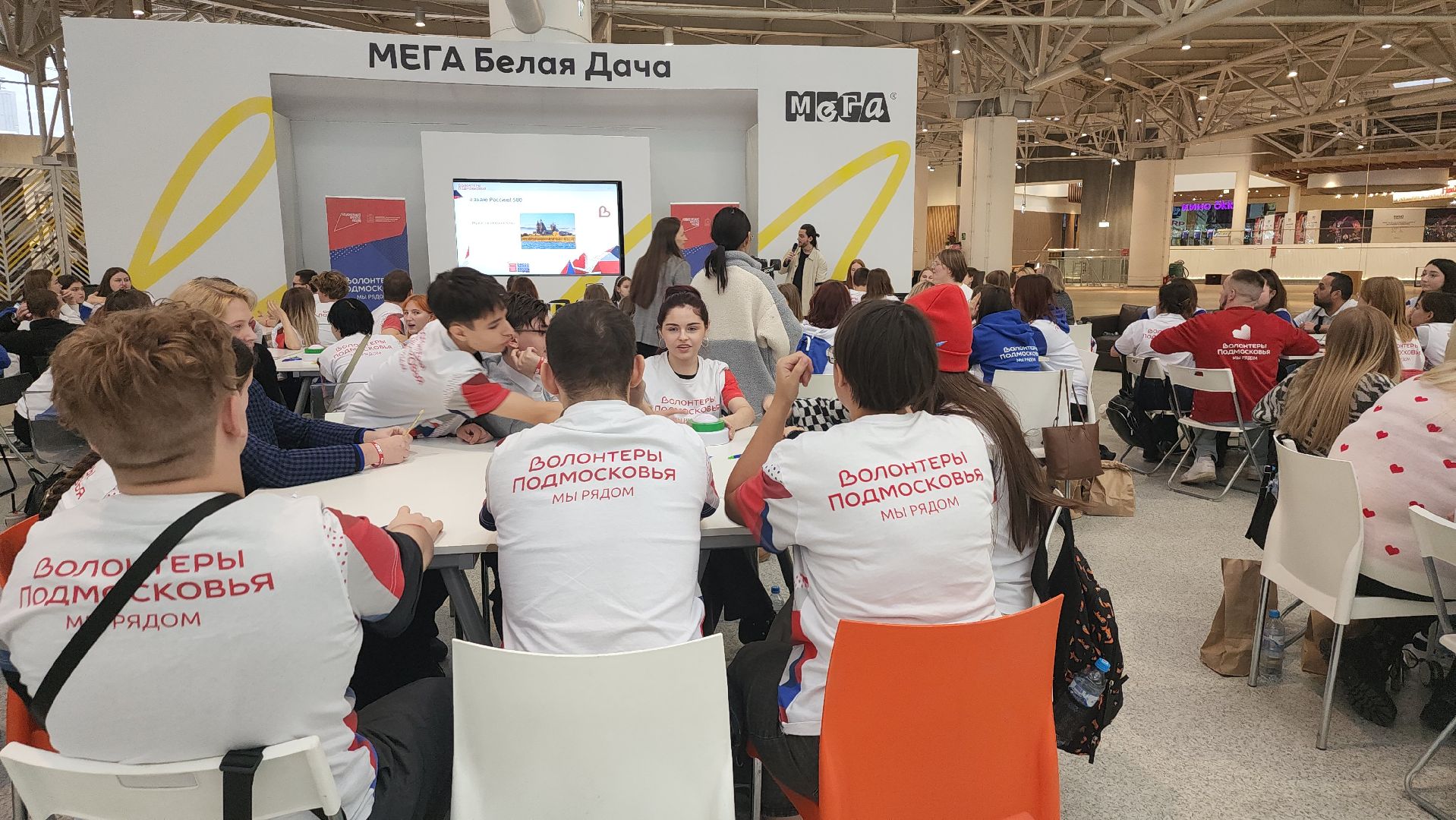 котельники, волонтеры, игра, квиз, cамый умный,