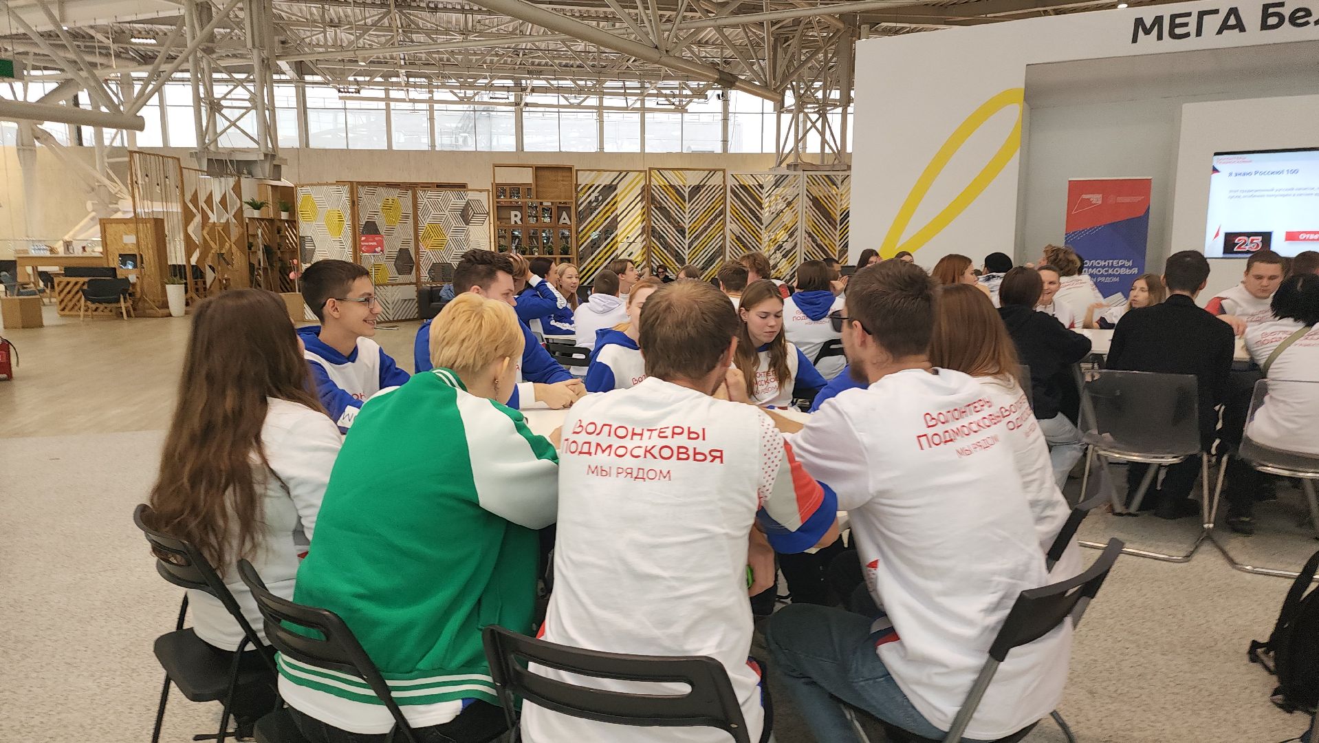 котельники, волонтеры, игра, квиз, cамый умный,