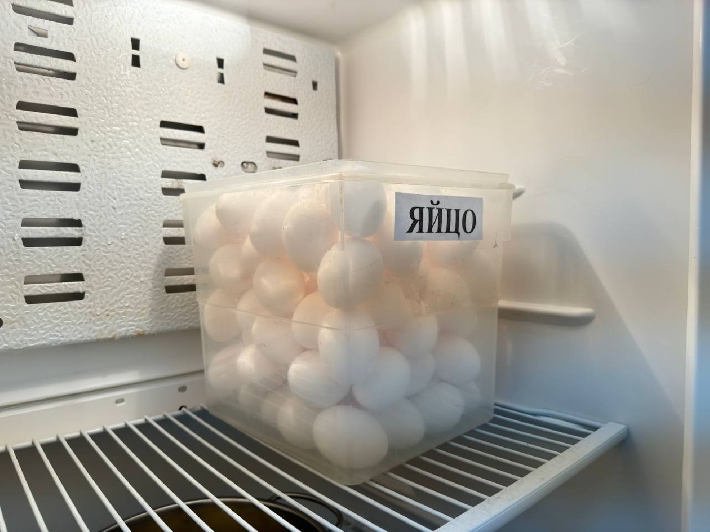 родительский контроль, городской округ восход, питание в школе, еда, вертикалки,