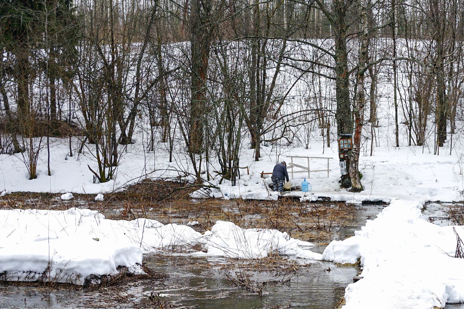 Сергиев Посад, Сергиево-Посадский городской округ, Экология, Родники, Выбор жителей, Благоустройство