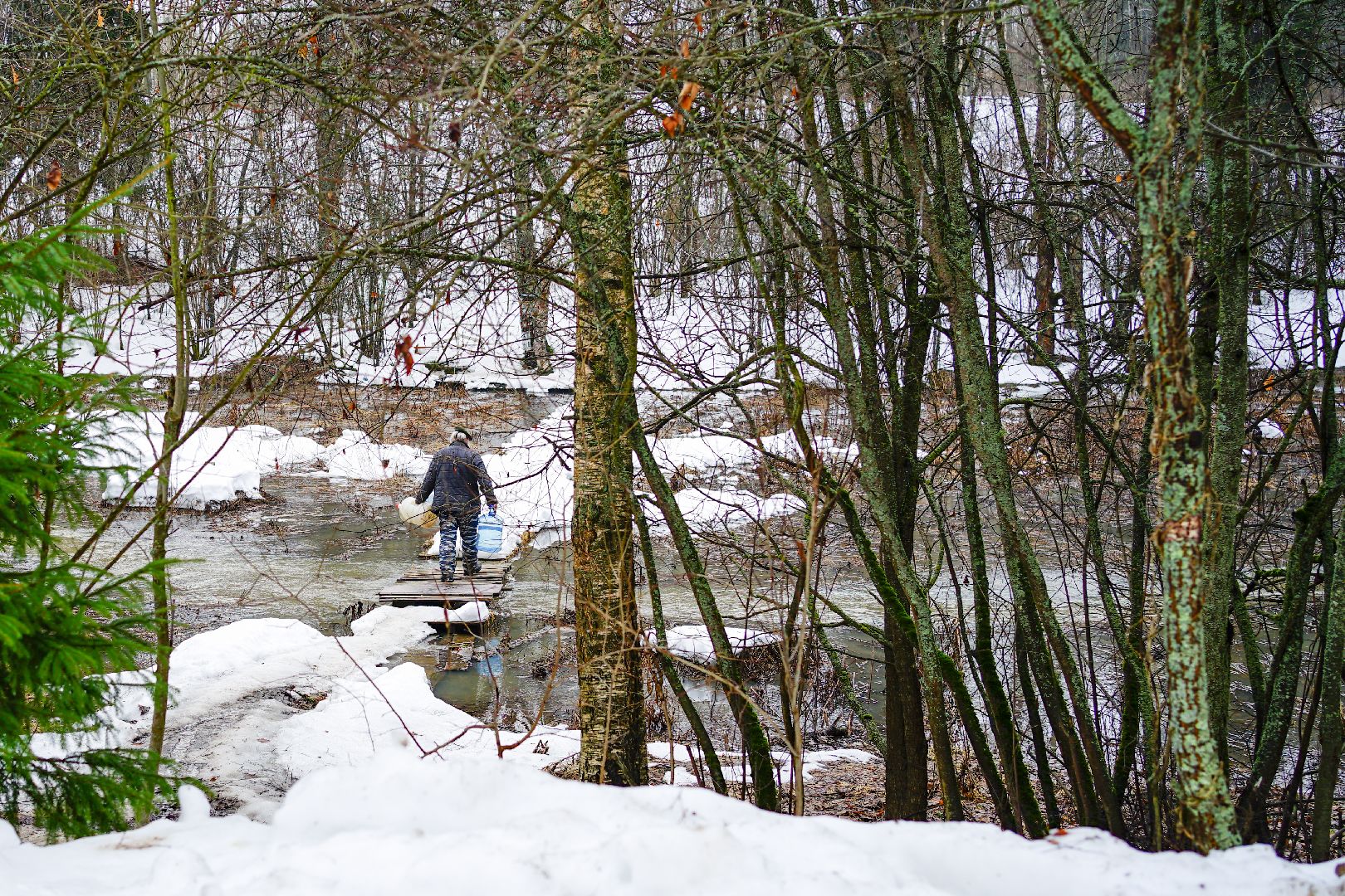 Сергиев Посад, Сергиево-Посадский городской округ, Экология, Родники, Выбор жителей, Благоустройство