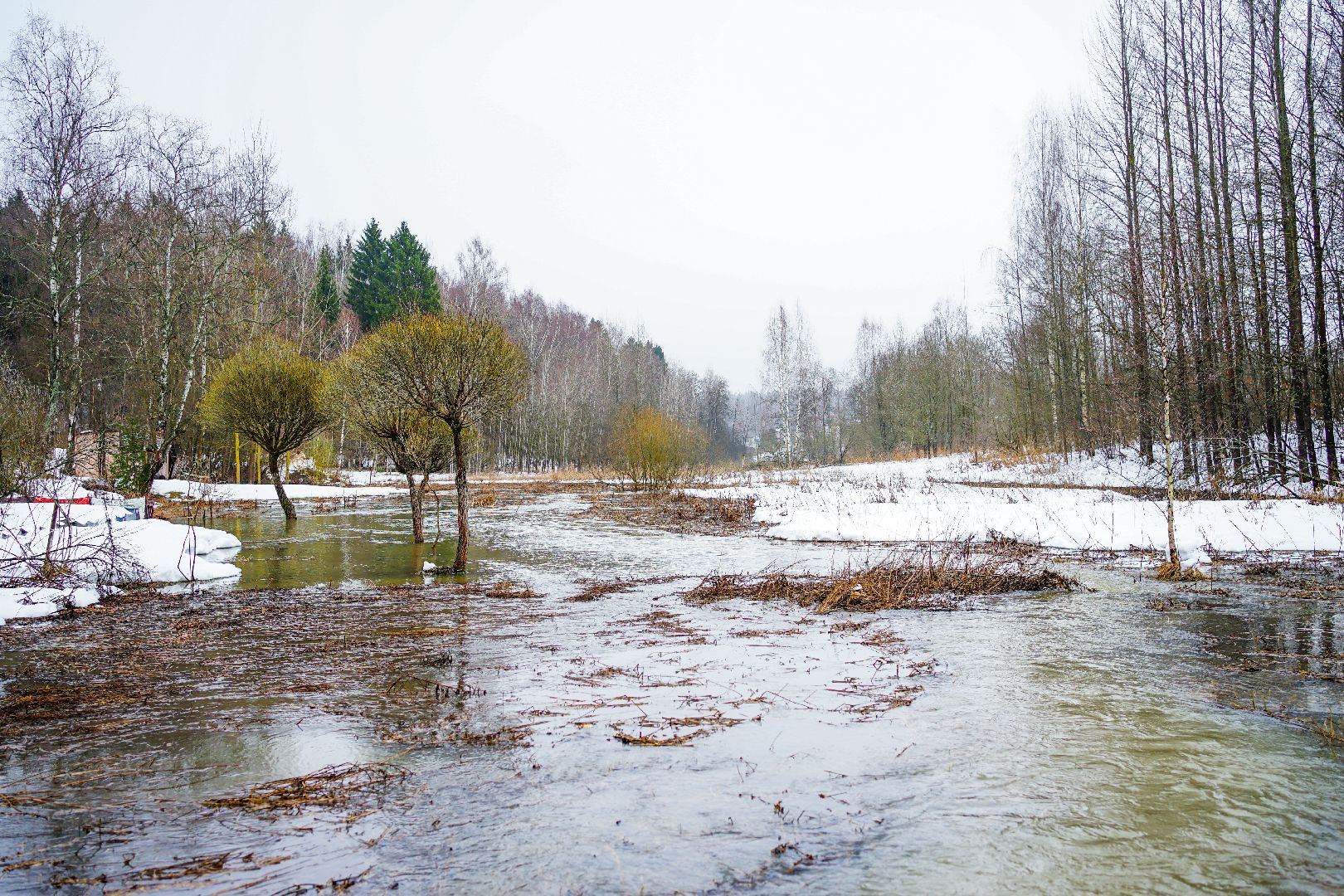 Сергиев Посад, Сергиево-Посадский городской округ, Экология, Родники, Выбор жителей, Благоустройство