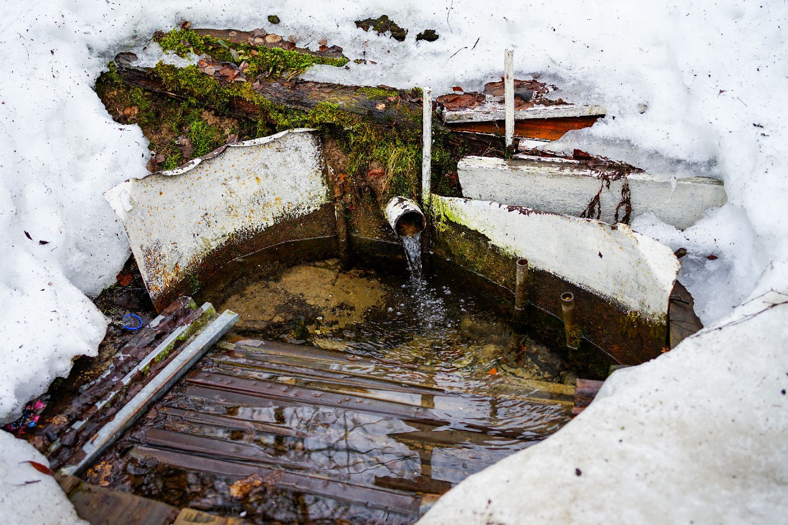 Сергиев Посад, Сергиево-Посадский городской округ, Экология, Родники, Выбор жителей, Благоустройство
