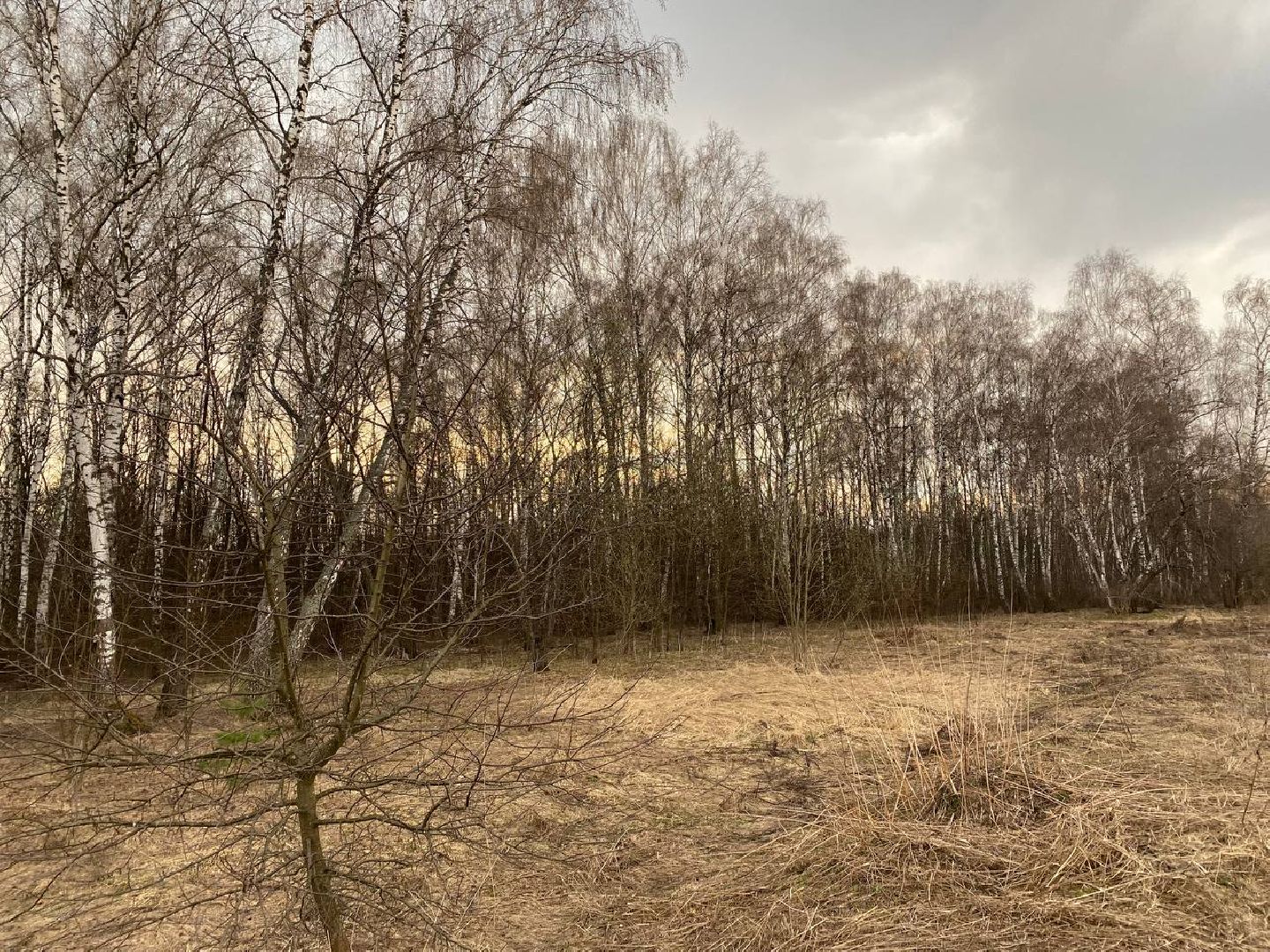 Ступино, клещи, безопасность, СОКБ