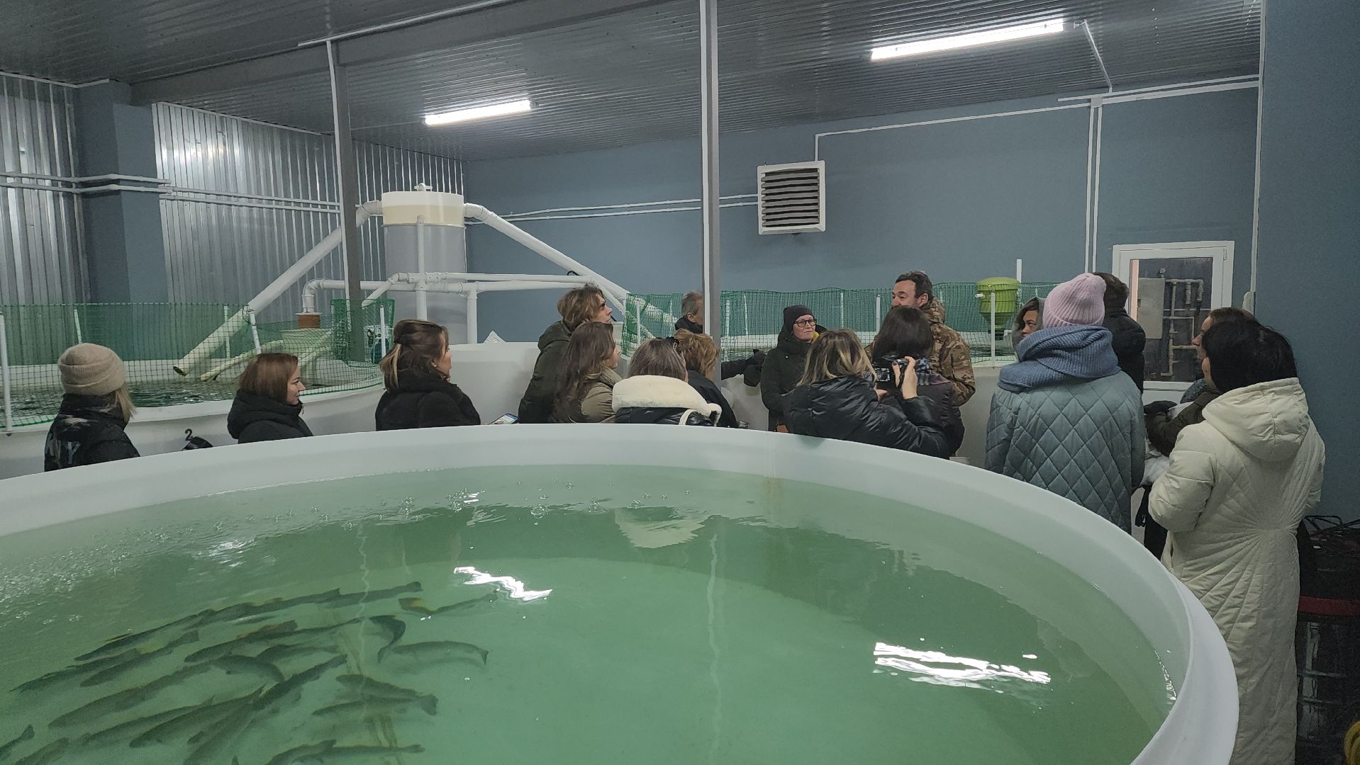 вертикалки, пушкинский, экотуризм, усадьба, фермерские продукты, куры, форель, предпринимательство, нежный бизнес, обмен опытом,