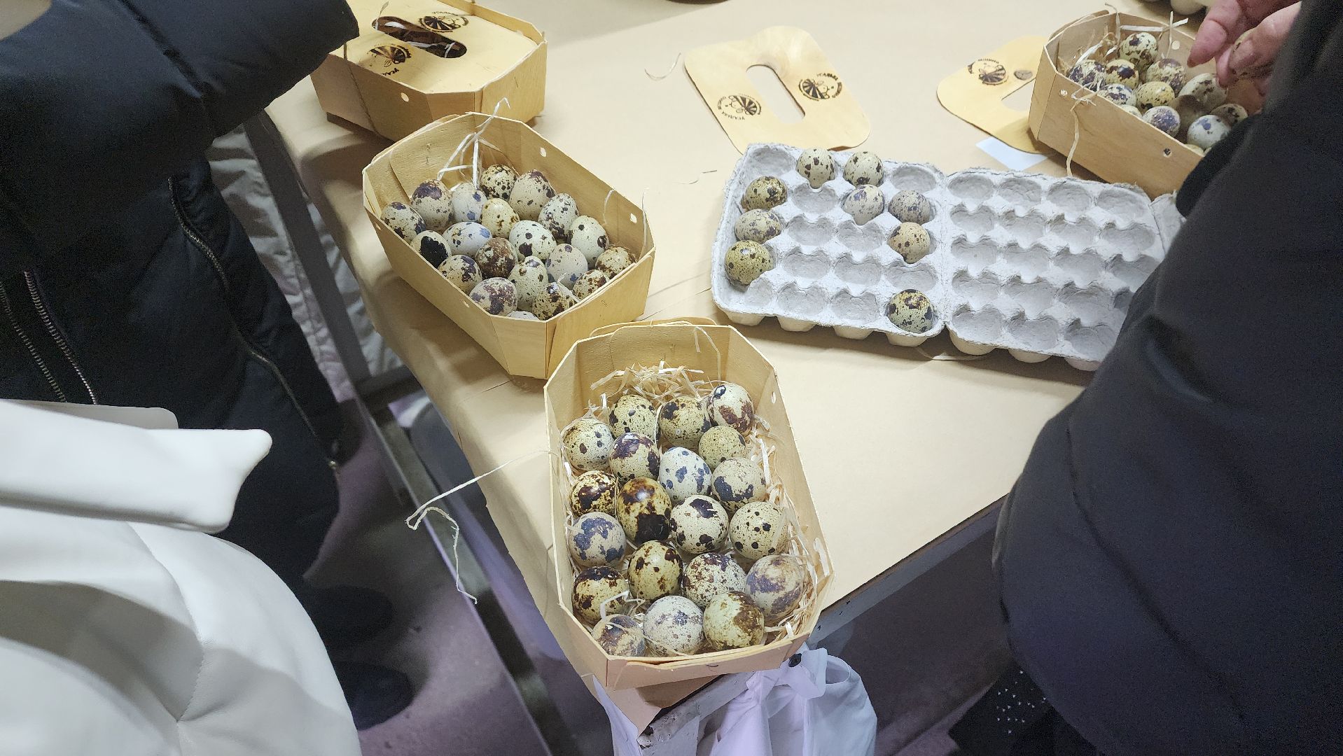 вертикалки, пушкинский, экотуризм, усадьба, фермерские продукты, куры, форель, предпринимательство, нежный бизнес, обмен опытом,