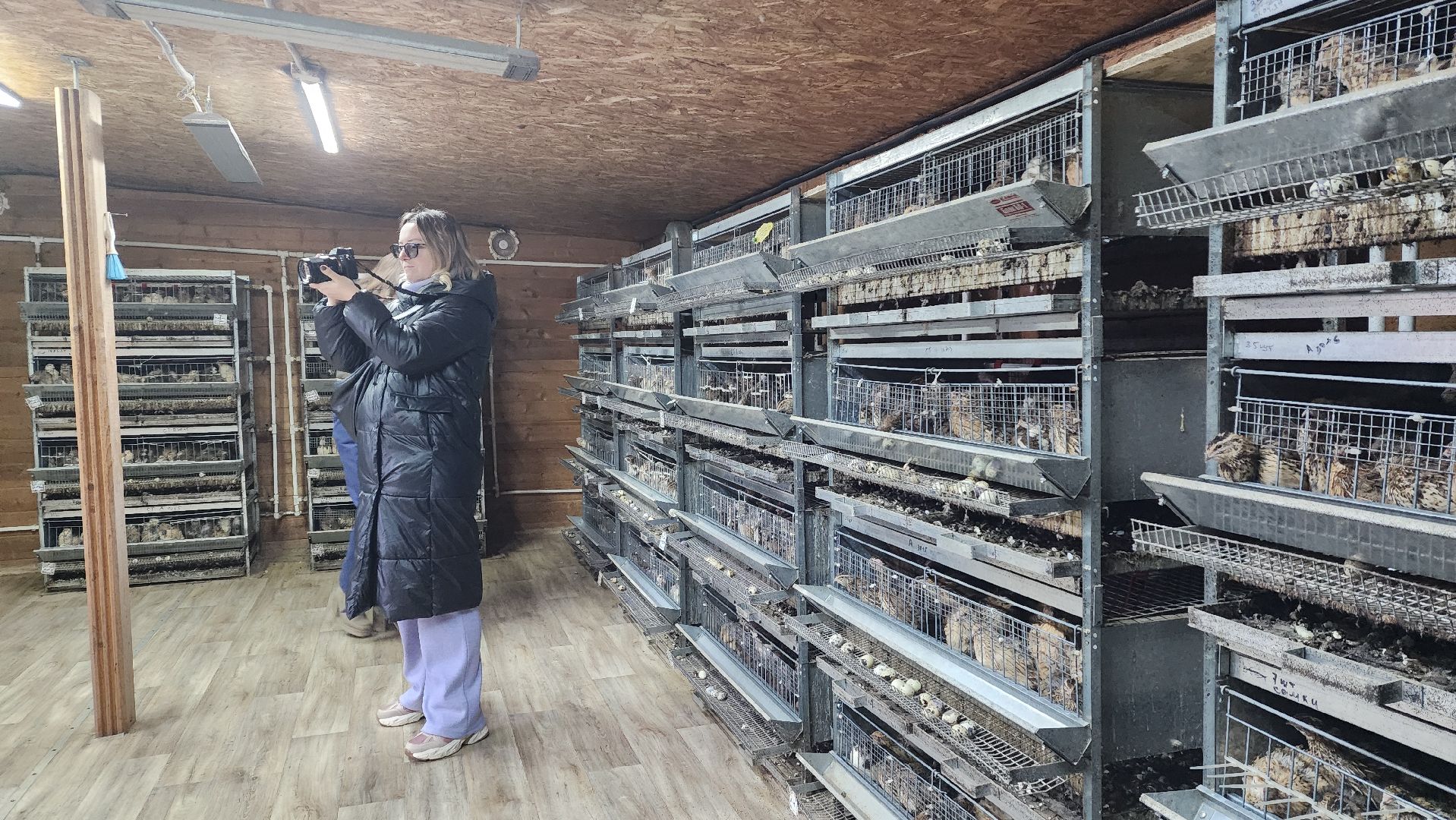 вертикалки, пушкинский, экотуризм, усадьба, фермерские продукты, куры, форель, предпринимательство, нежный бизнес, обмен опытом,