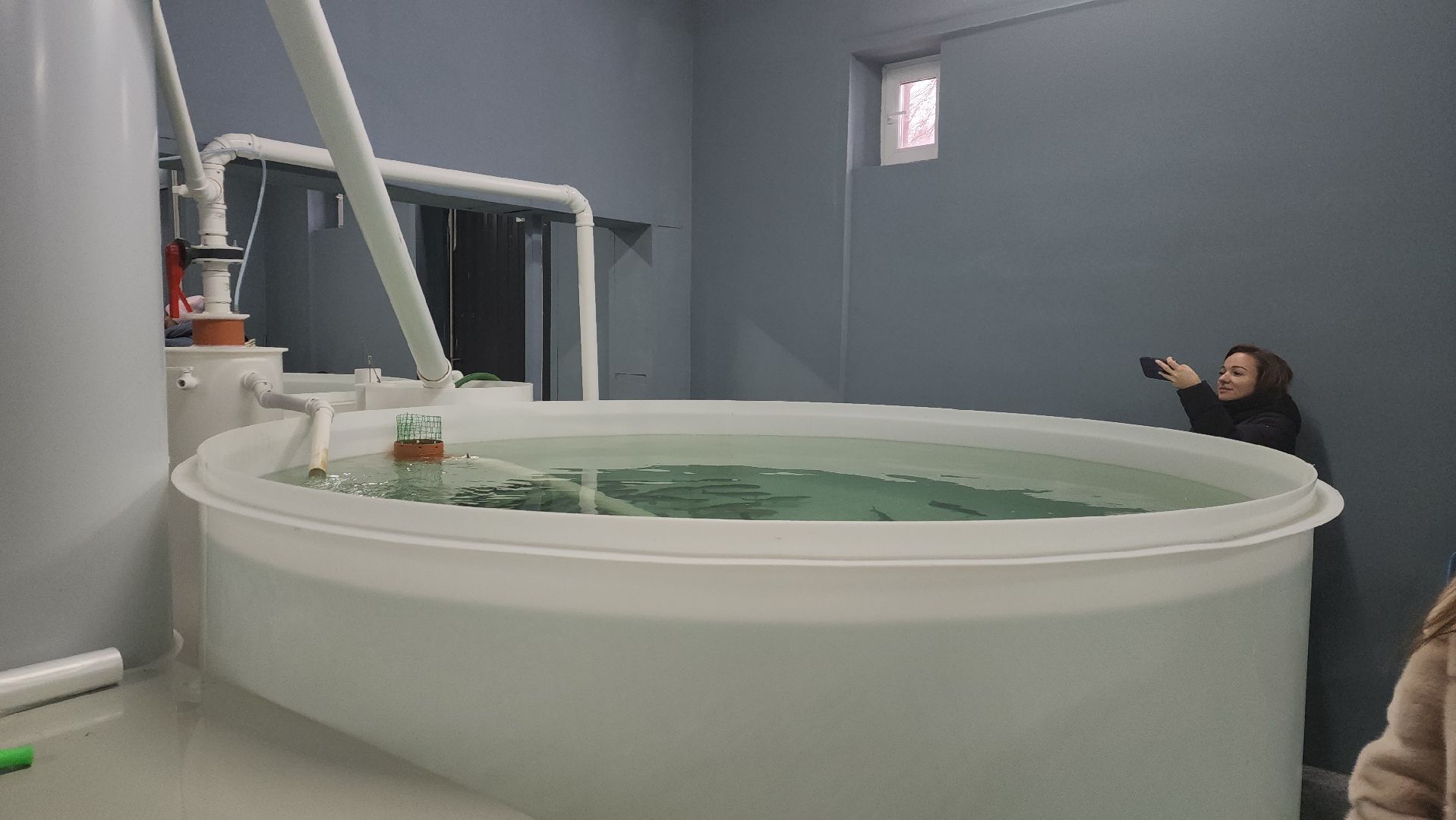 вертикалки, пушкинский, экотуризм, усадьба, фермерские продукты, куры, форель, предпринимательство, нежный бизнес, обмен опытом,