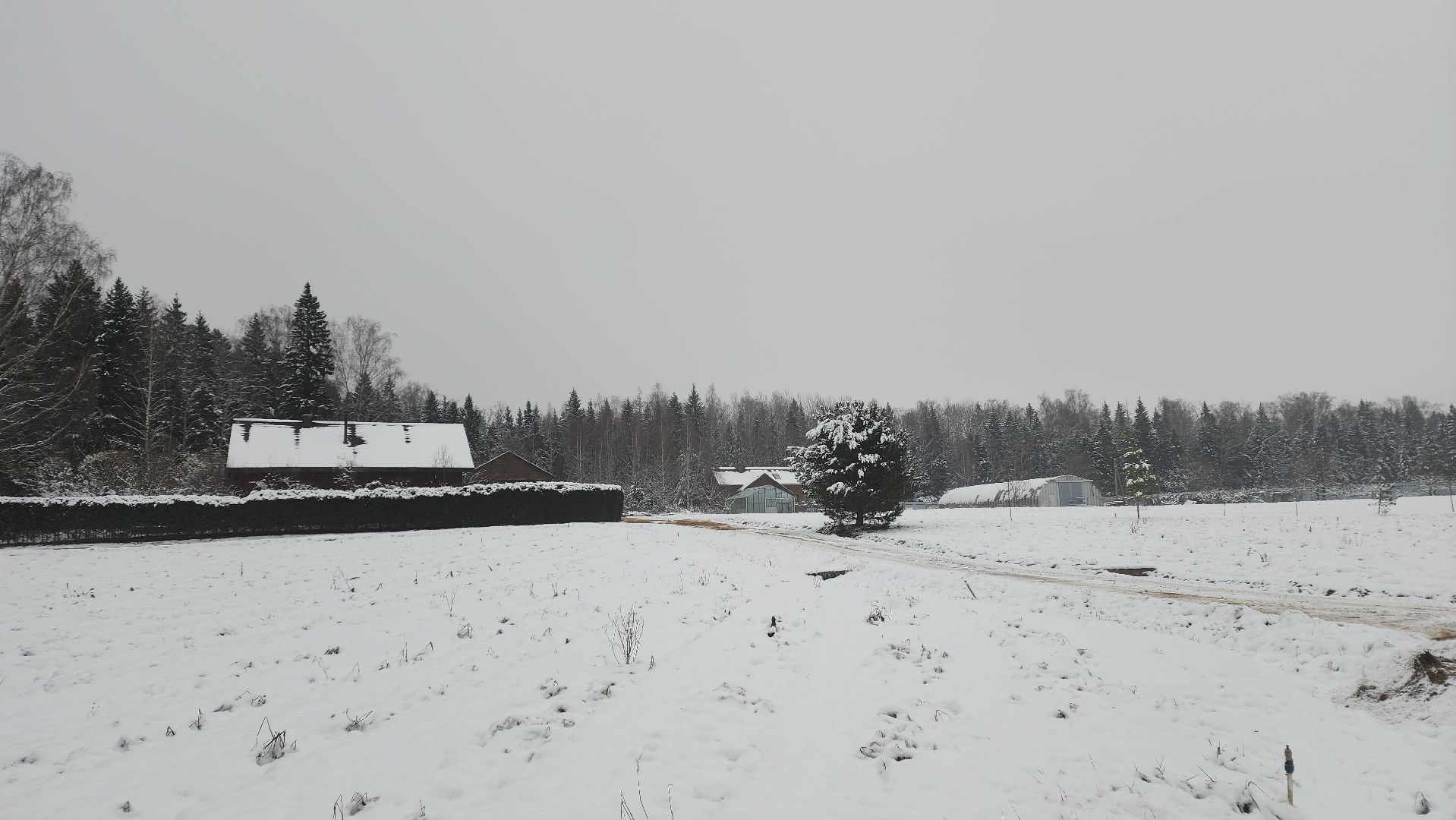 вертикалки, пушкинский, экотуризм, усадьба, фермерские продукты, куры, форель, предпринимательство, нежный бизнес, обмен опытом,