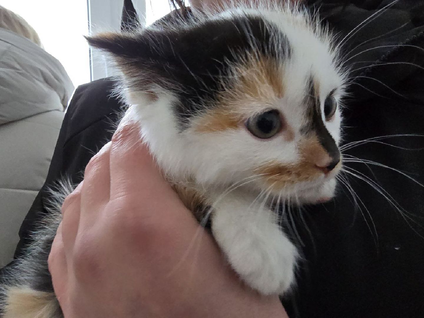 можайск, можайский городской округ, подмосковье, новая квартира, Переселение граждан из аварийного жилищного фонда в Московской области на 2019 2025 годы, жилье и городская среда, переселенцы, аварийное жилье, новый дом, ключи от квартиры, президентский проект,