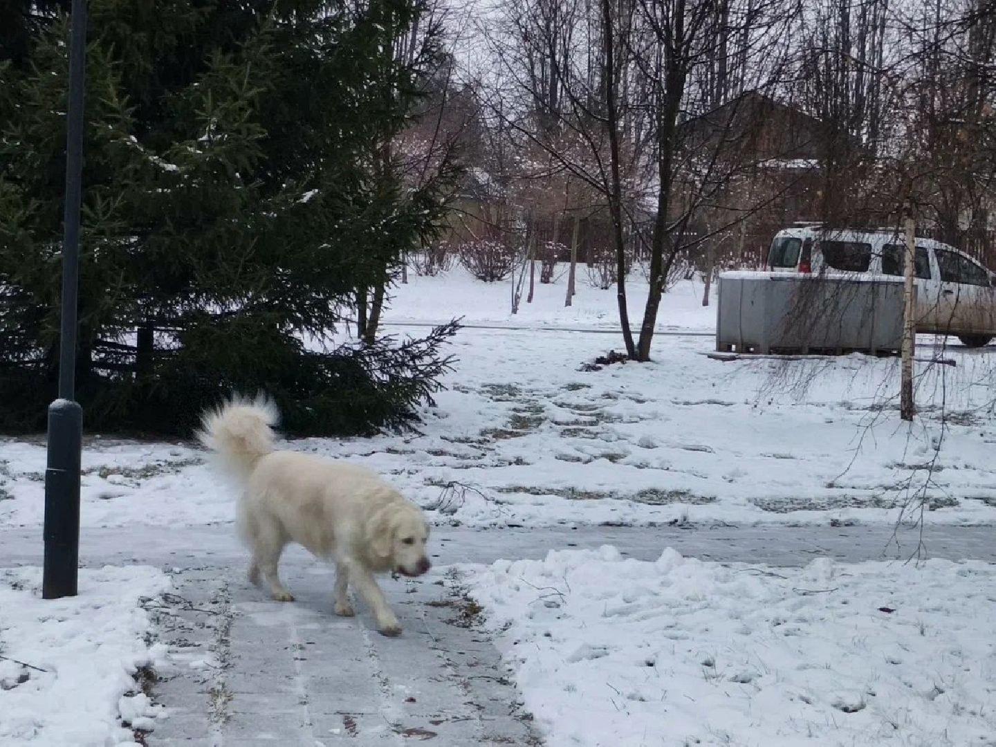 химки, выездная администрация, власть,