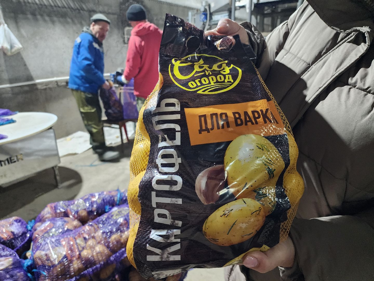 луховицы, сельское хозяйство,