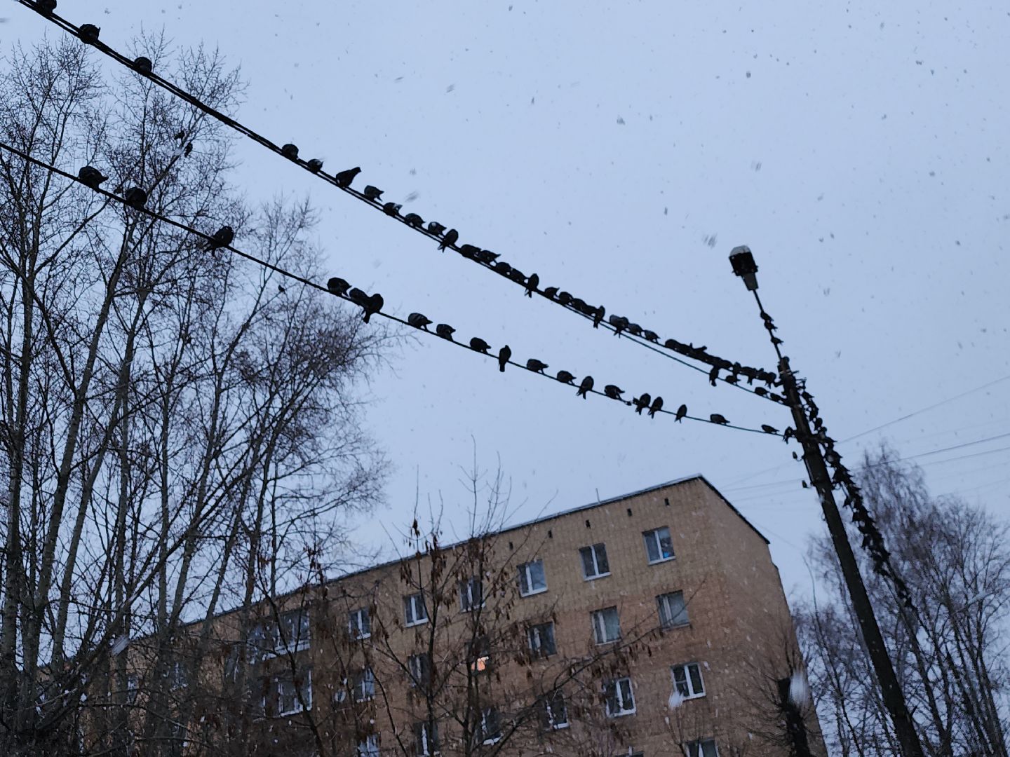 серпухов, подмосковье, уборка снега, благоустройство, вертикалки