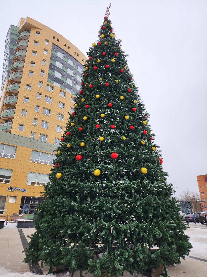 фрязино, зима в подмомсковье, ёлка, украшение города, новый год, вертикалки,