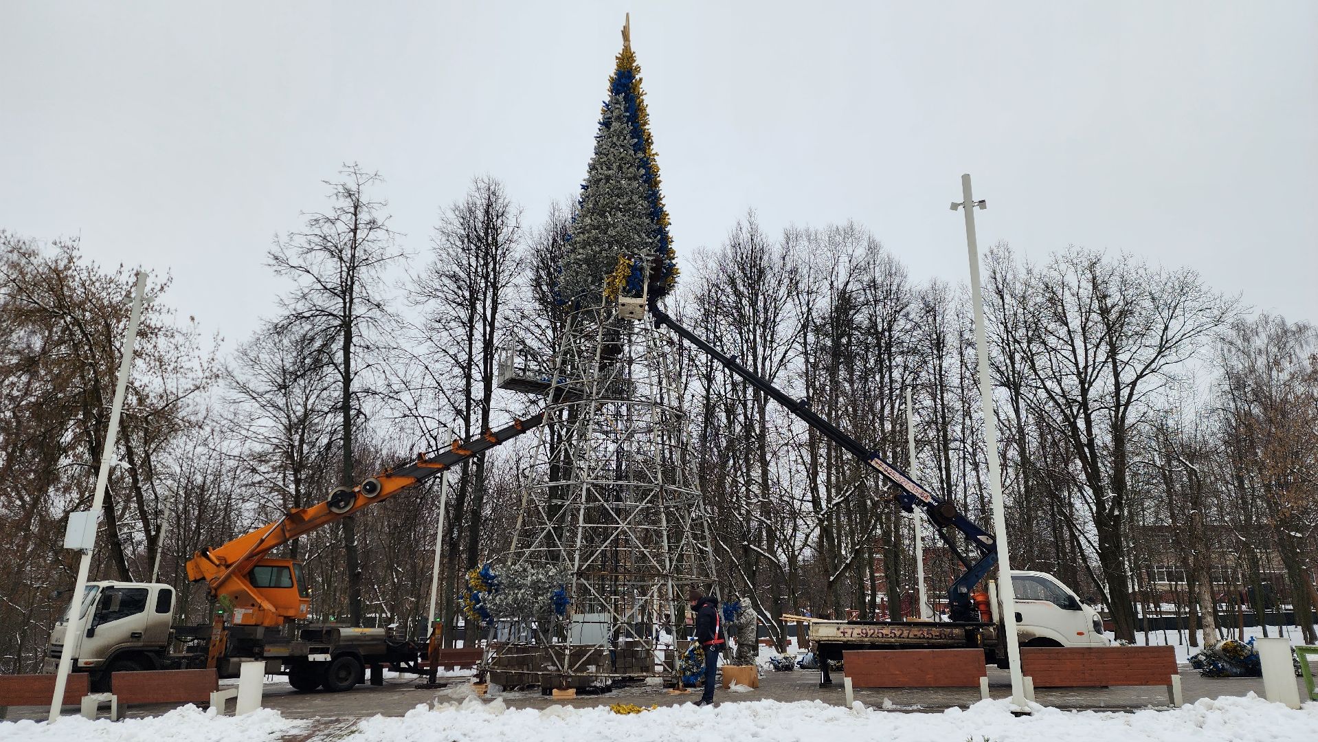 парки, новогодняя елка, истра, вертикалки,