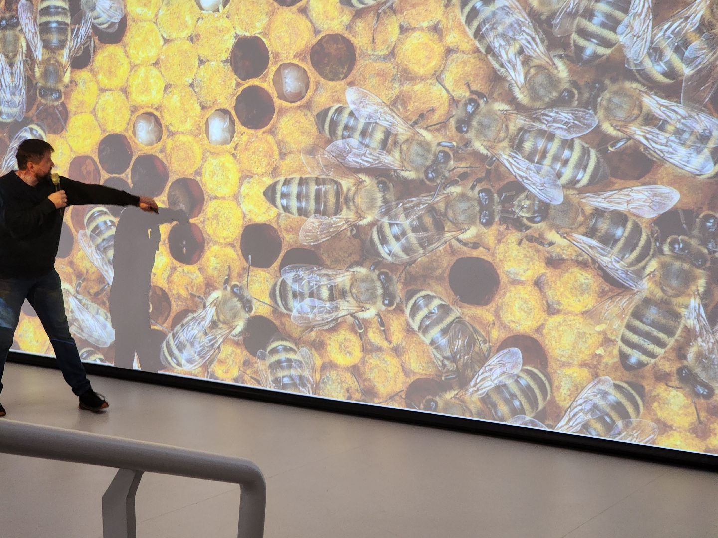 долгопрудный, технопарк физтех-лицея, БиохимТех, пчелы, апиология, Посольство пчел Подмосковья,