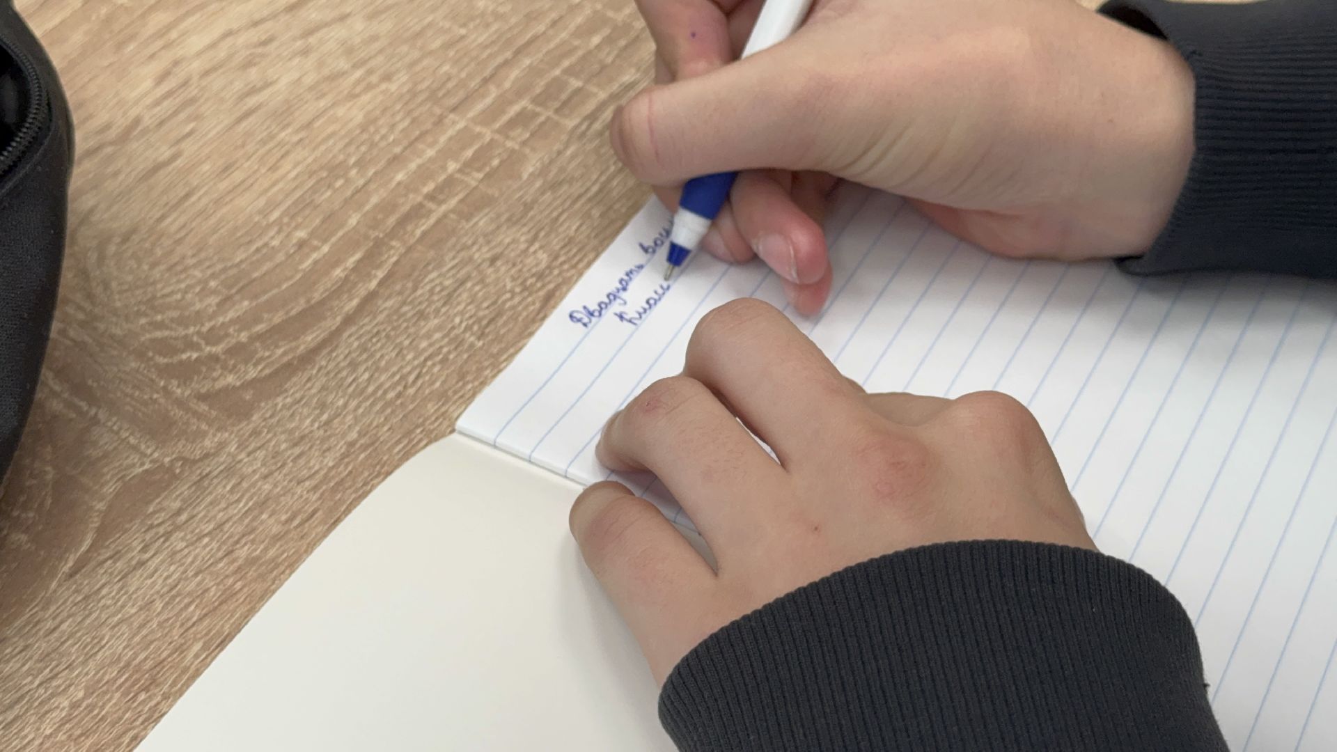 Солнечногорск, Учитель, поддержка государства, школа, вертикалки,