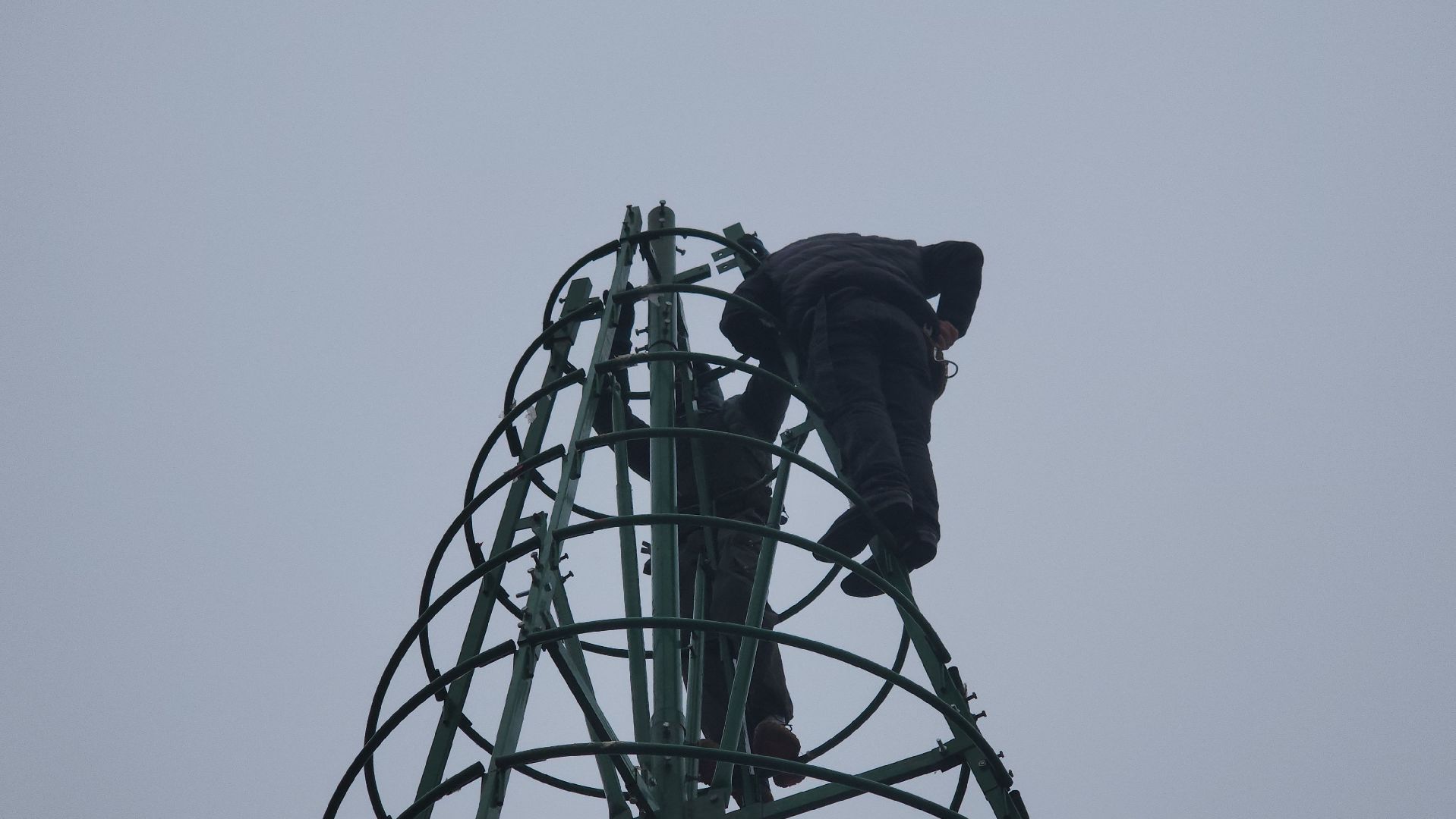 котельники, парки, лес, новогодние игрушки, новогодняя елка,