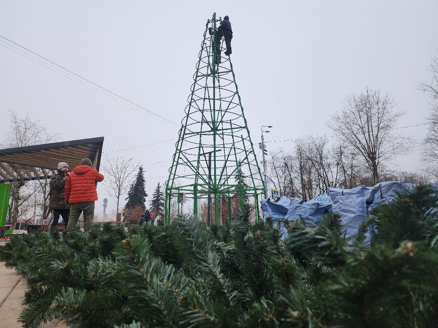 котельники, парки, лес, новогодние игрушки, новогодняя елка,