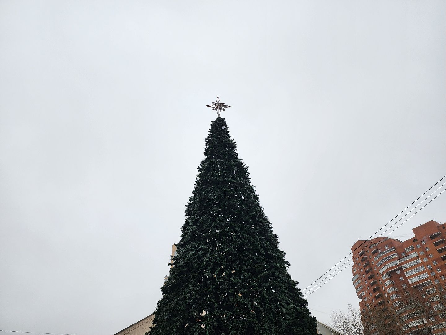 котельники, парки, лес, новогодние игрушки, новогодняя елка,