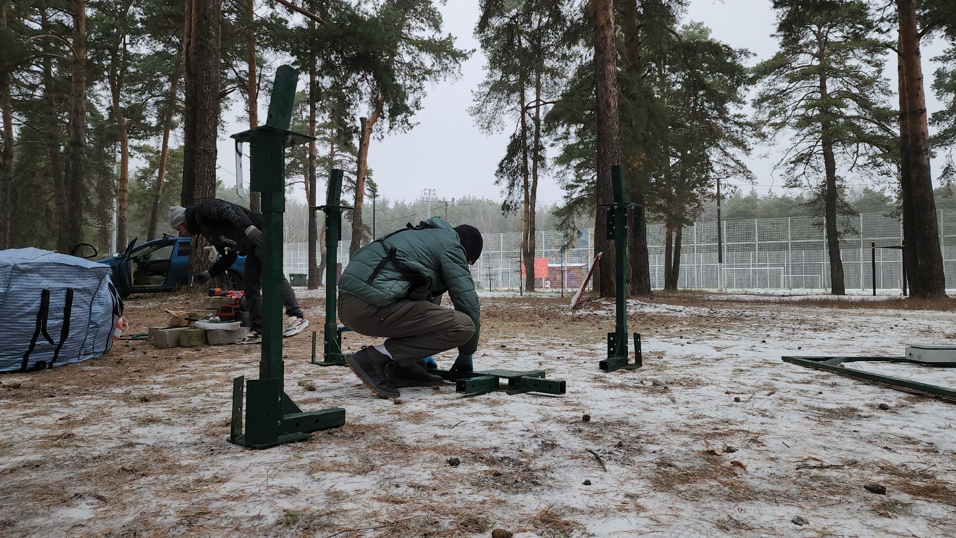 котельники, парки, лес, новогодние игрушки, новогодняя елка,