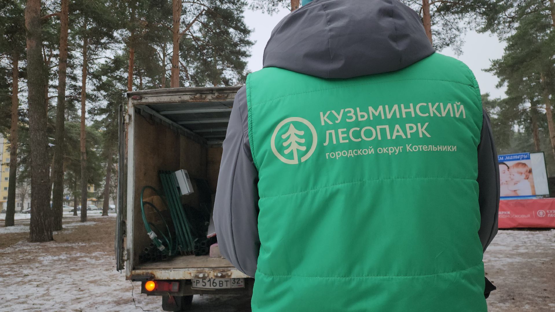 котельники, парки, лес, новогодние игрушки, новогодняя елка,