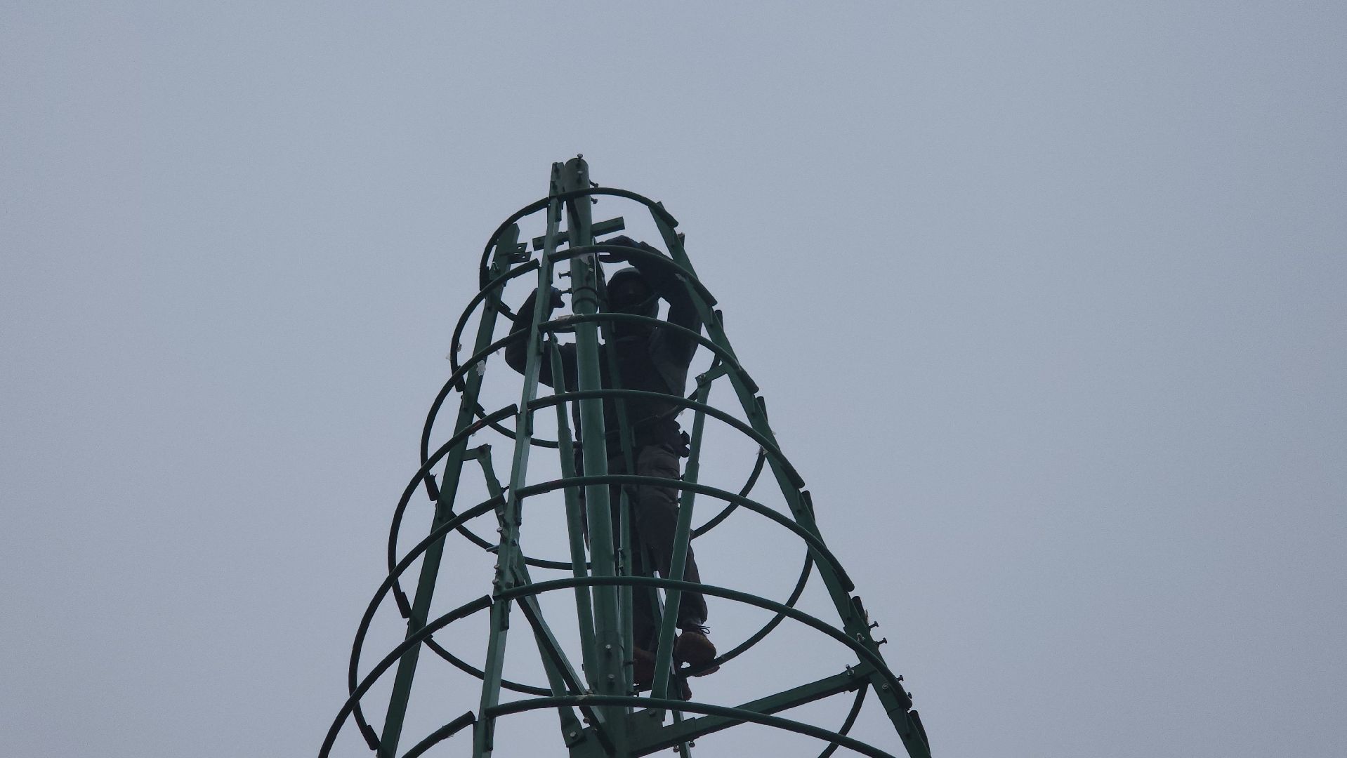 котельники, парки, лес, новогодние игрушки, новогодняя елка,