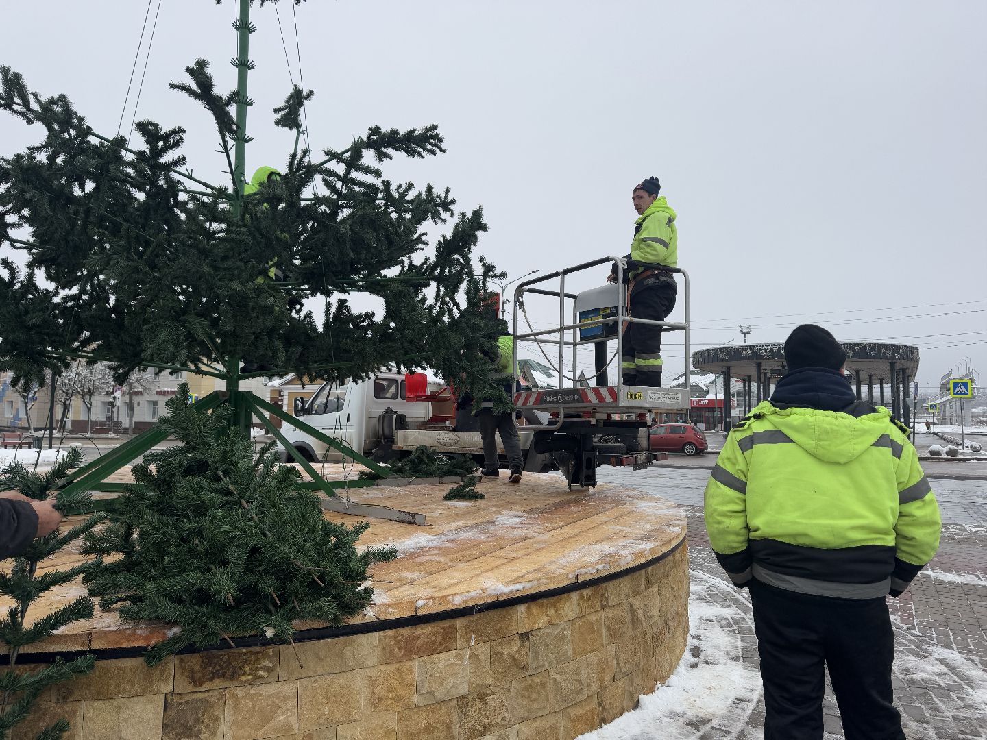 шаховская, ёлка, новогодняя елка, вертикалки,