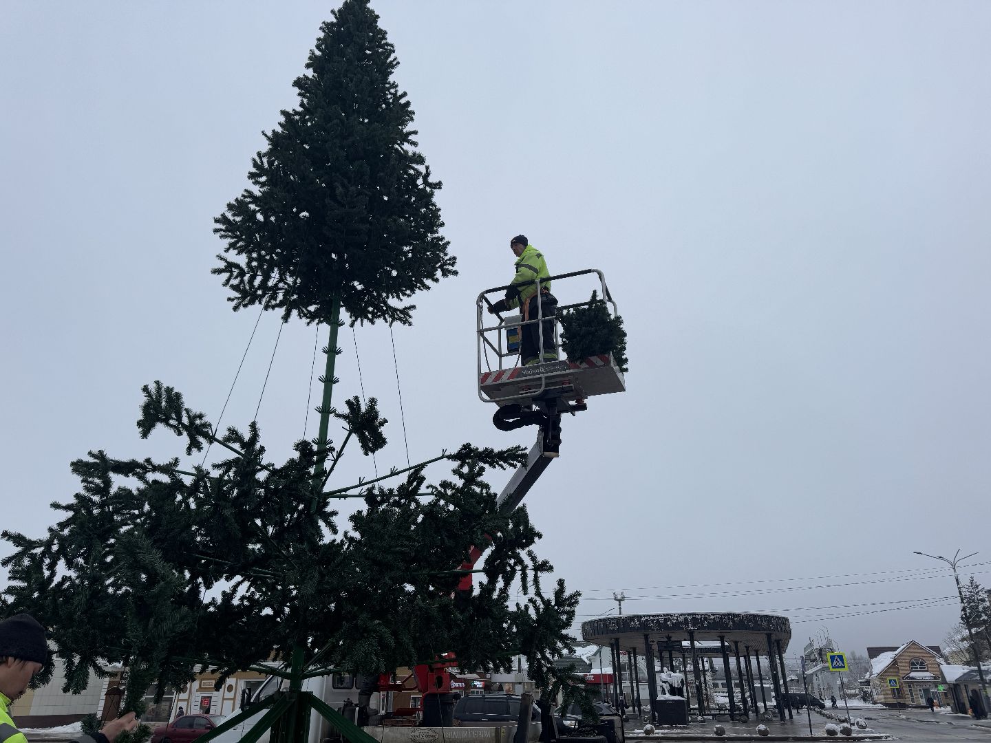 шаховская, ёлка, новогодняя елка, вертикалки,